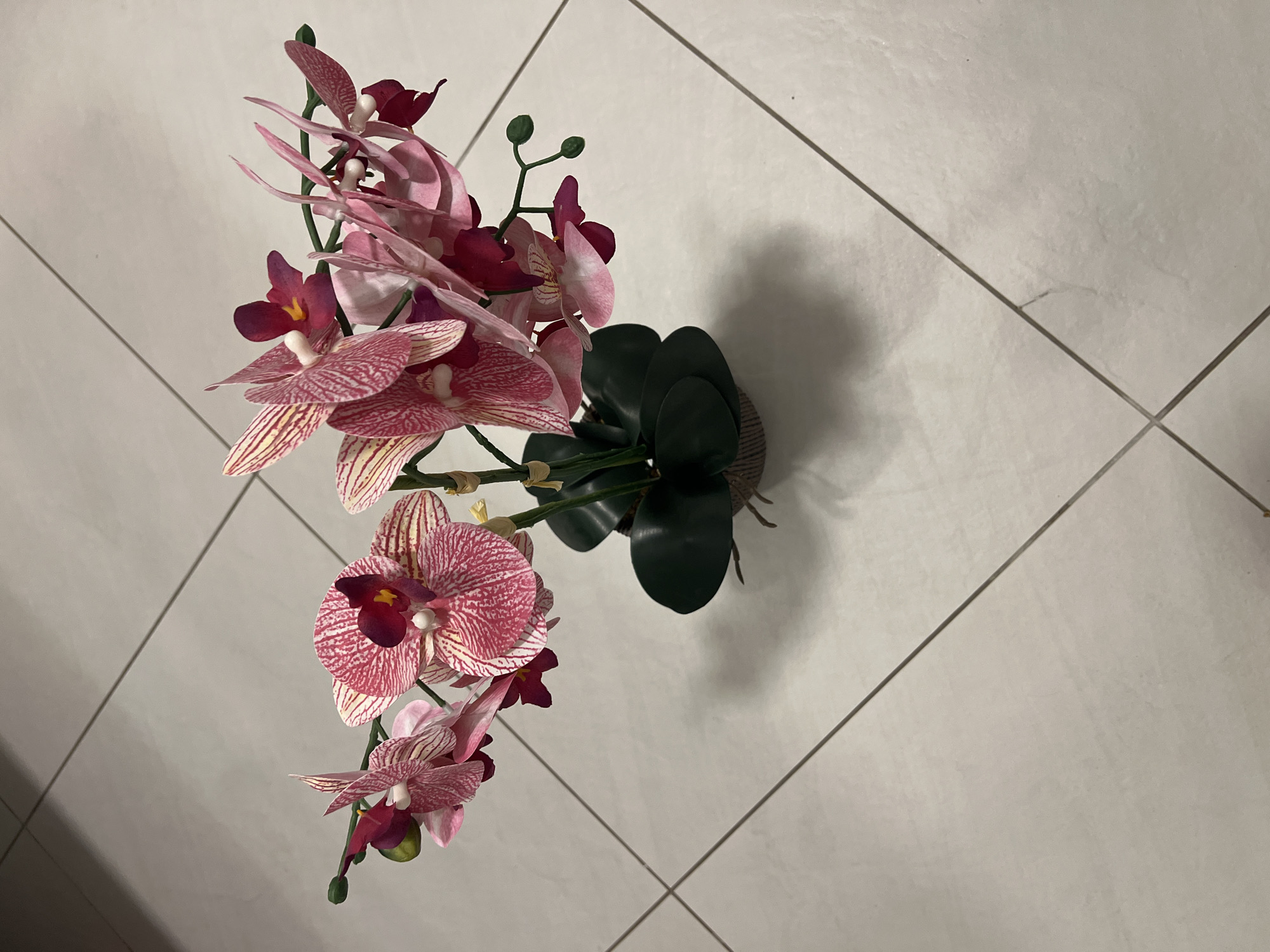 A close-up, overhead shot showcases a vibrant faux orchid arrangement with pink and white striped petals, some with darker magenta centers, set against a white tiled floor. The arrangement sits in a brown, textured pot, surrounded by dark green faux leaves. The lighting casts a soft shadow of the plant onto the floor. The floor tiles are arranged in a grid pattern. There is no visible indication of the location being Bad Zwischenahn, Germany.