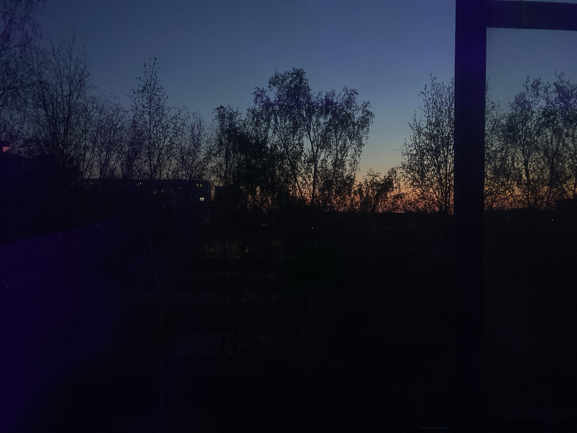 The image shows a view of trees silhouetted against a twilight or pre-dawn sky. The sky graduates from a darker blue at the top to a lighter orange/yellow on the horizon. Bare branches are visible, suggesting late autumn or winter. In the background, a building with lights on can be seen. In the lower part of the image, there's a dark foreground, partially obstructed by a reflection in a window, obscuring the foreground landscape. Based on the context provided, this is likely a scene in Izhevsk, Russia.