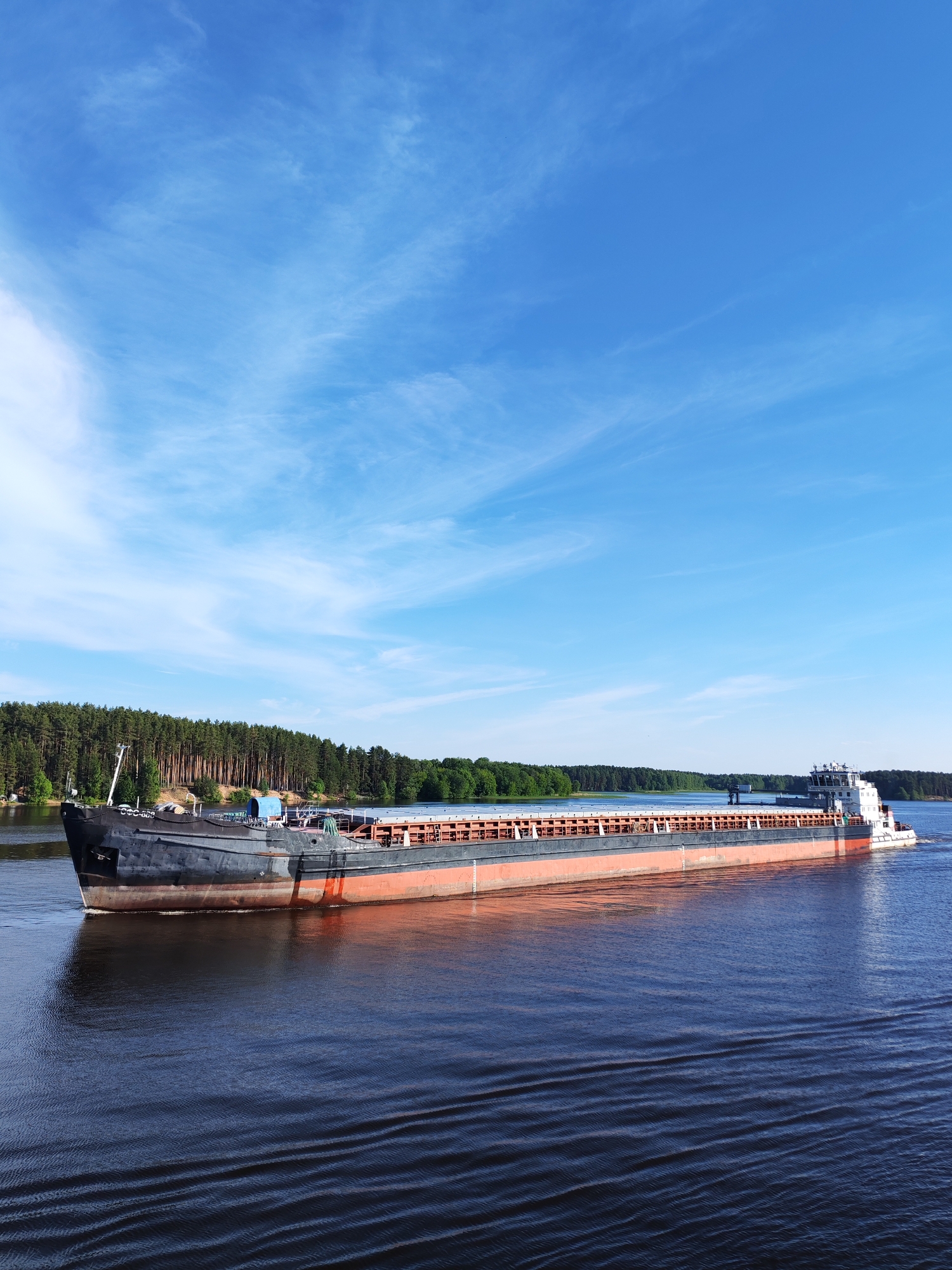 A long, dark-hulled cargo vessel with a reddish-orange waterline navigates a wide waterway under a clear blue sky in Selishchi, Russia. The vessel features an open deck with multiple empty cargo holds and a white superstructure at its stern. The identifier "CCC-003" is visible on the bow, which also has a blue covering. The vessel's movement creates prominent parallel ripples on the dark blue water surface. Both sides of the waterway are bordered by dense, dark green coniferous forests; the left bank exhibits an exposed earthen slope beneath the trees. The sky is largely clear, with sparse, wispy white clouds. No human figures are discernible in the scene.