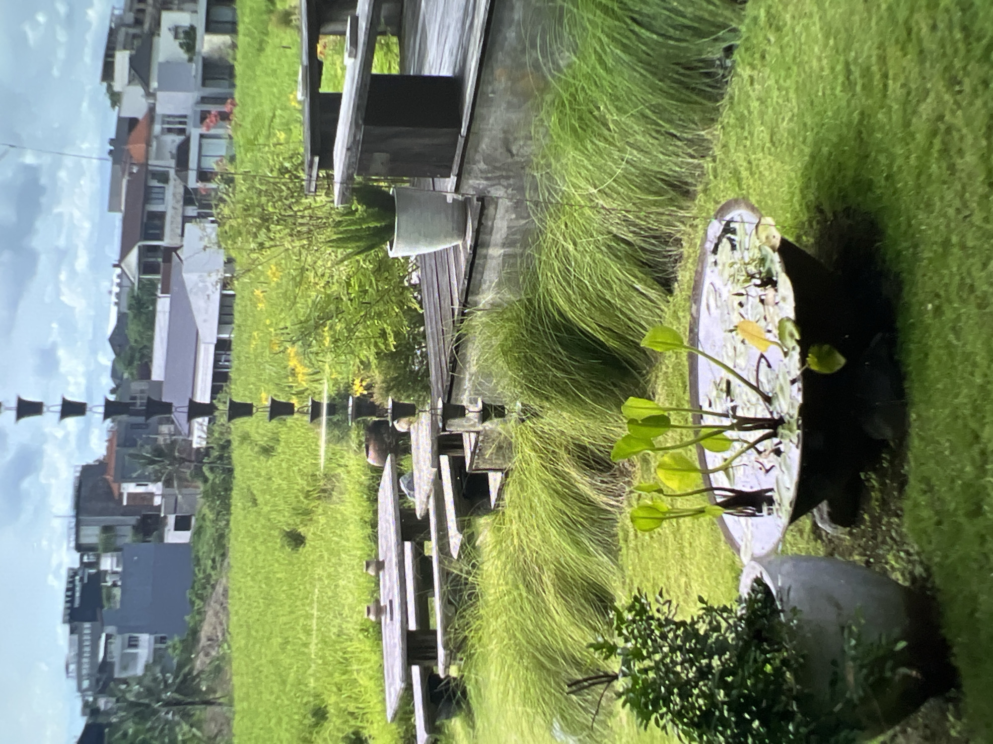 The image captures a serene outdoor setting, likely a cafe or restaurant, with lush greenery and a backdrop of urban development. In the foreground, a shallow pond with water lilies and aquatic plants sits on a grassy area. To the left of the pond, a potted plant in a large grey planter adds to the verdant atmosphere.
Further back, wooden picnic tables and benches are arranged amidst tall, flowing grass, suggesting an outdoor dining or relaxation space. Beyond the tables, a wooden deck with a planter holding an aloe vera plant is visible. In the mid-ground, a vertical structure resembling a rain chain with multiple cascading cups hangs down.
The background reveals a cluster of multi-story buildings, indicative of a city environment. The architecture of these buildings varies, with some featuring white facades and others darker tones, suggesting residential or commercial properties. The sky above is partly cloudy, casting a soft light on the scene. The overall impression is one of a tranquil oasis within a bustling urban landscape. The location is identified as Singapore.