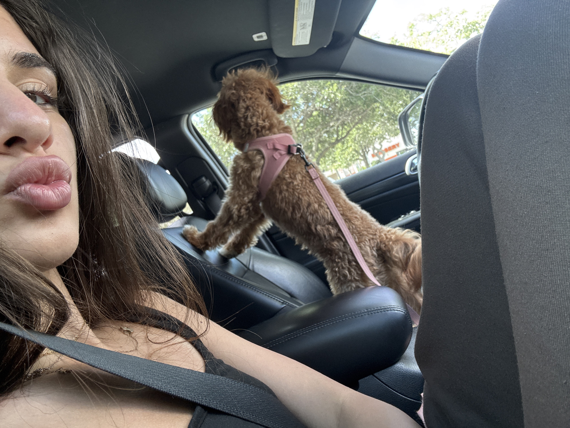 A woman and a dog are inside a car. The woman is wearing a black top and a seatbelt. She has brown hair and is making a kissing face towards the camera. A small, brown poodle is standing on the center console, wearing a pink harness. The background shows a street and the sign for a Home Depot store. This indicates the location is in Delray Beach, Florida.