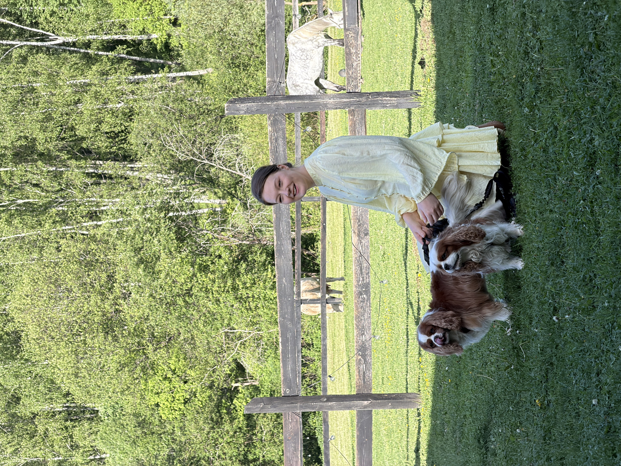 A young woman in a light yellow dress kneels on a grassy lawn, flanked by two Cavalier King Charles Spaniels. Behind her is a wooden fence with a horse visible through the slats. In the background, there's a forest of trees. The location is likely Prudki, Russia, given the prompt's stipulation. The scene captures a moment of interaction between the woman and her dogs in a rural setting.