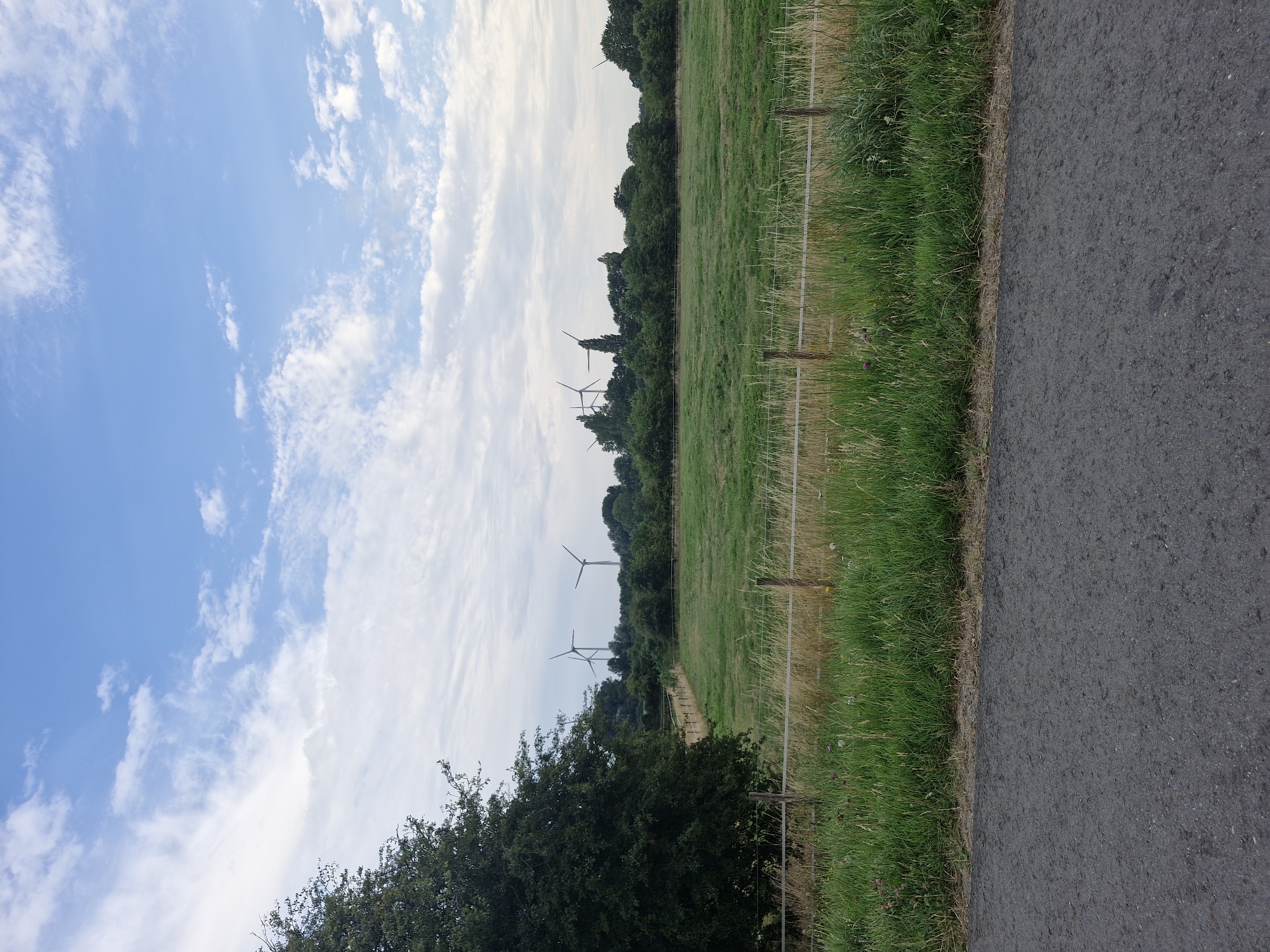 The image shows a rural landscape with wind turbines in the background, located in Bremen, Germany. In the foreground, there is a paved road and a grassy field separated by a fence. A large tree is visible on the left side of the image. The sky is partly cloudy with a bright blue sky visible in some areas. The scene appears to be tranquil and offers a view of the natural environment of Bremen, Germany.