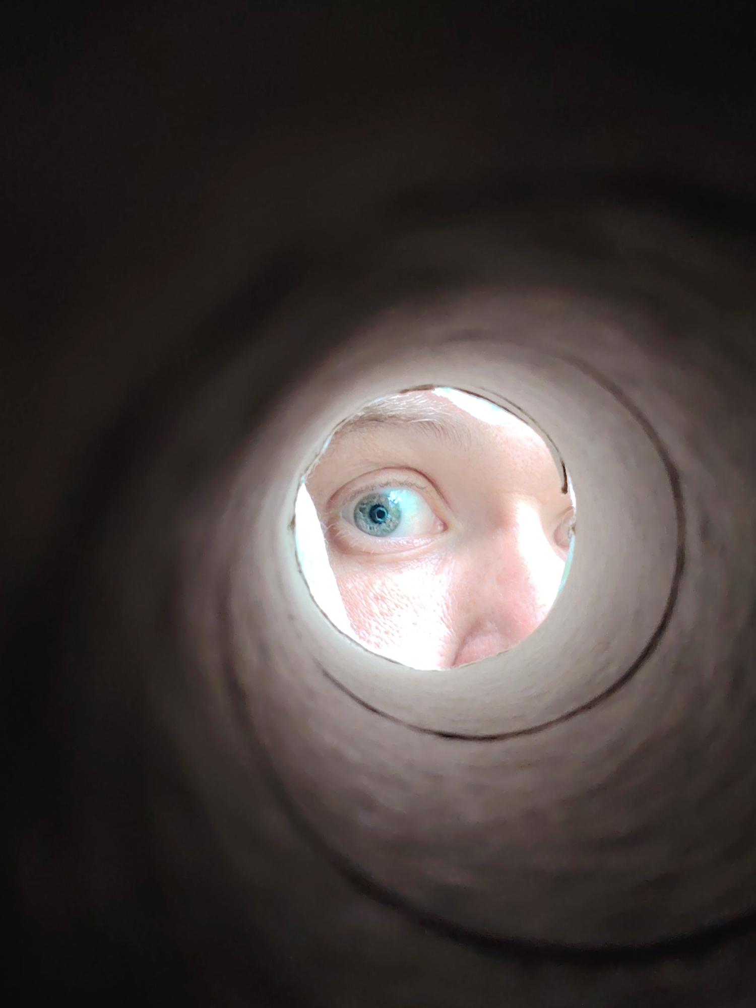 The image shows a close-up view through a cardboard tube. The tunnel-like interior of the tube is dark brown and fuzzy, suggesting it is made of rolled paper or cardboard. In the center of the opening, a person's eye is visible. The eye is blue with a dark pupil and is looking directly at the camera. The skin around the eye appears pale and slightly flushed, with some visible pores. The rest of the face is mostly out of focus, with hints of the forehead and cheekbone. The lighting suggests the light source is behind the person, illuminating their eye from the front. There are no identifiable landmarks or environmental features present in the image to suggest a specific location in Chaikovsky, Russia.