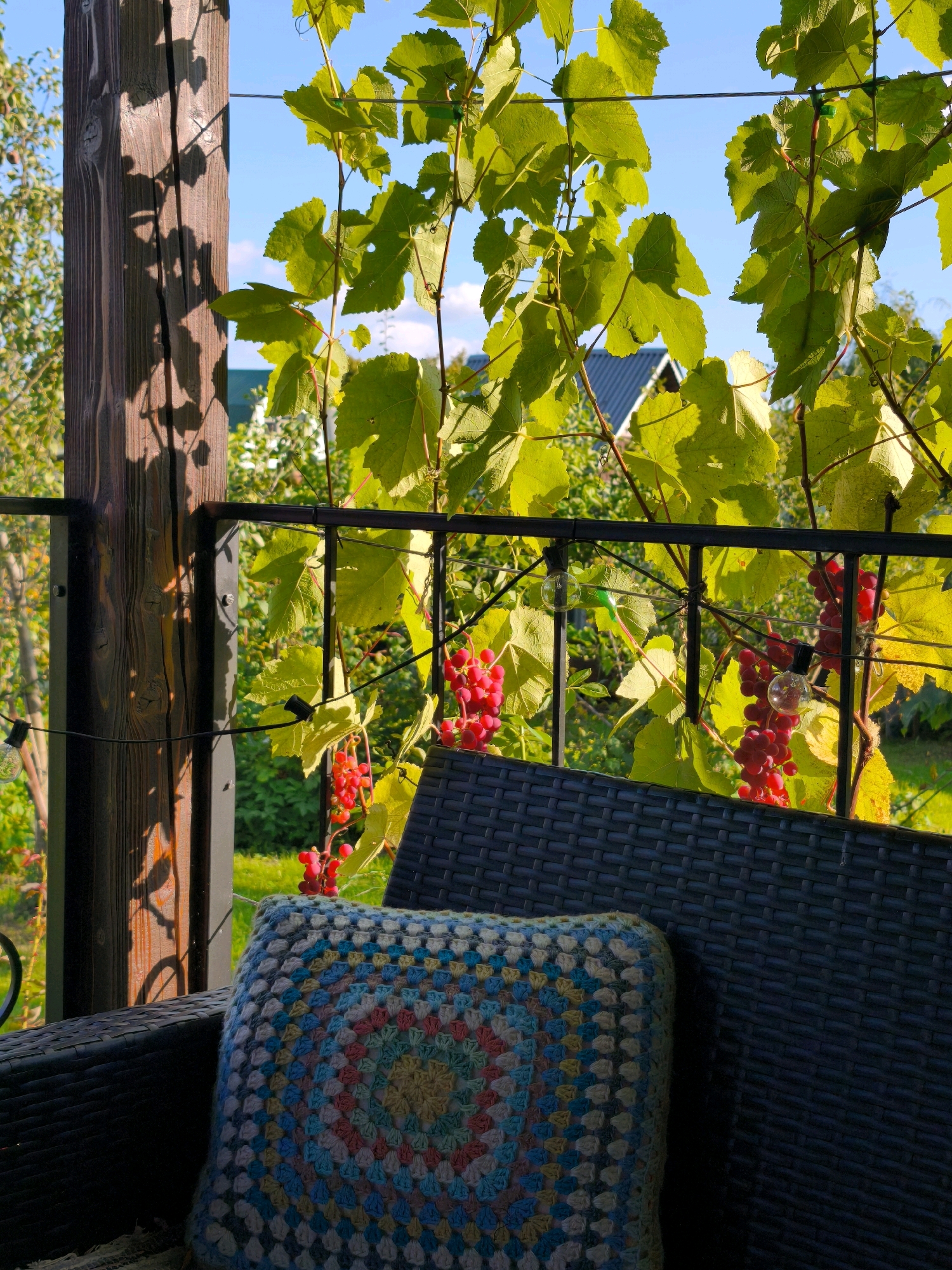 The image depicts an outdoor setting, likely a patio or balcony, with a focus on a woven chair and a crocheted cushion. The chair is made of dark, woven material and is partially visible in the foreground. On the chair rests a colorful crocheted cushion with a circular, mandala-like pattern in shades of blue, pink, yellow, and white.
Behind the chair, a dark metal railing is visible, supporting a grape vine. The vine has large, green leaves and clusters of ripe red grapes. Several small, clear light bulbs are strung along the railing and the vine. In the background, out of focus, are trees, greenery, and the roof of a building, suggesting a residential area. The lighting indicates it is daytime, with sunlight casting shadows on a wooden post to the left of the frame. The scene appears to be in a natural or semi-natural environment, possibly a garden or a yard. The location of Vyshegorod, Russia is not discernible from the visual information provided in the image.