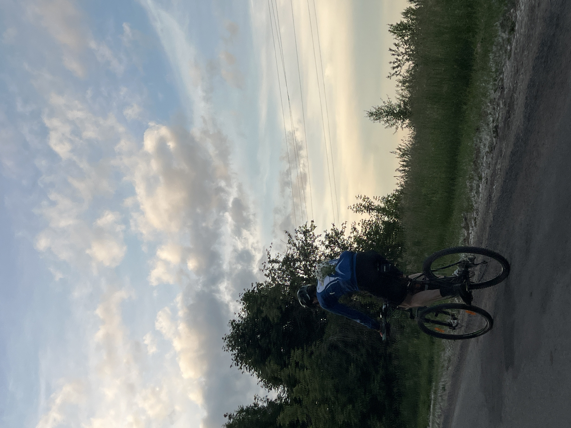 An individual is depicted from behind, cycling on a paved road under a cloudy sky in Kozivka, Ukraine. The cyclist wears a dark helmet, a long-sleeved blue top, and dark shorts, and is carrying a blue backpack from which a bouquet of white flowers protrudes. The bicycle is a dark-framed model with disc brakes and orange reflectors on the front wheel spokes. To the left of the road is a dense cluster of tall green trees, while the right side features a roadside verge covered in tall grass and bushes, with smaller trees beyond. Multiple horizontal power lines are visible against the upper right portion of the sky, which exhibits a light blue hue with scattered white and gray cumuliform clouds. The lighting is soft and natural.