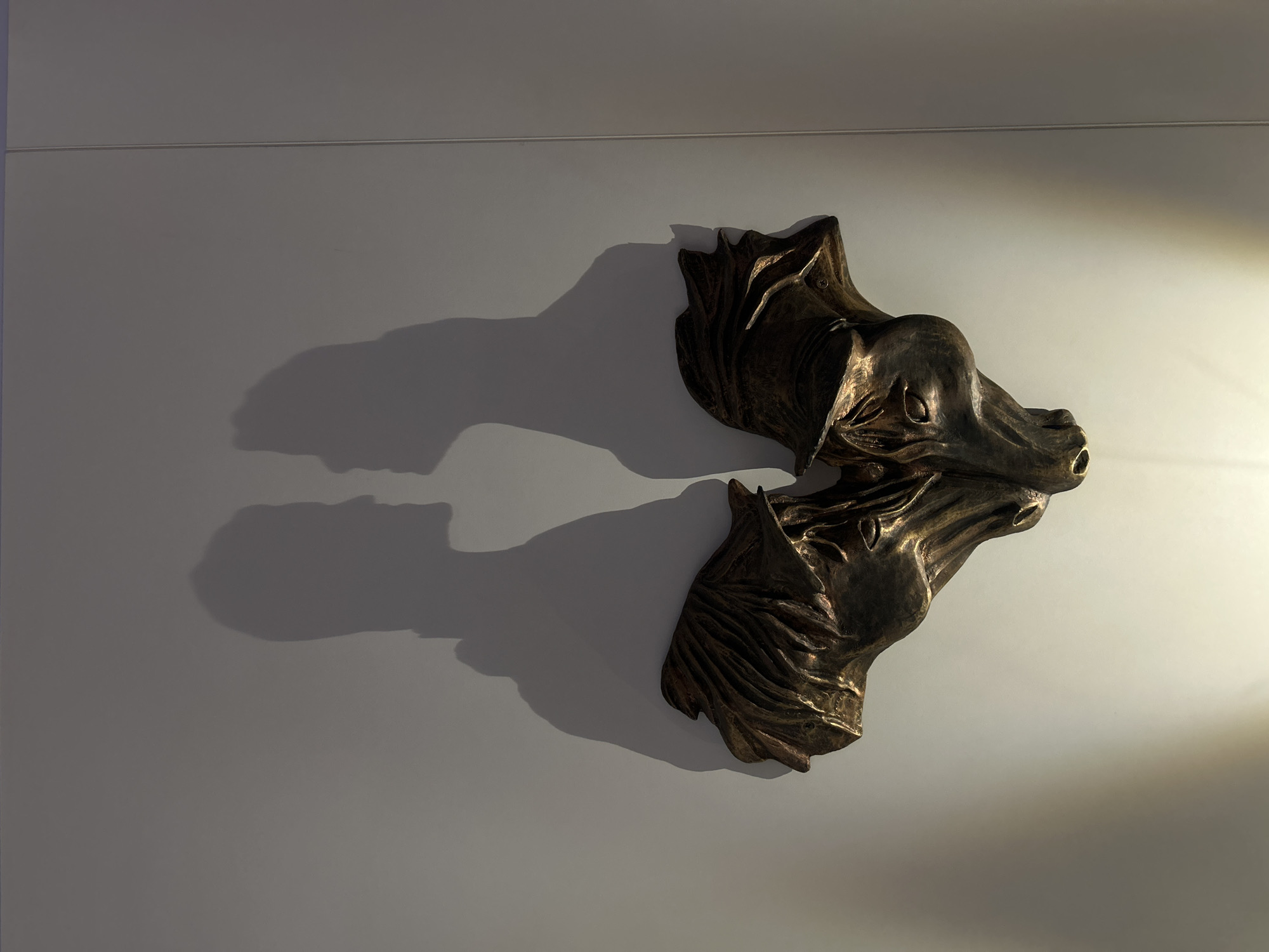 A bronze-colored sculpture of a horse head is mounted on a plain white wall. The sculpture is illuminated from the right, casting a shadow on the wall to the left. The wall appears to be divided horizontally by a thin, dark line near the top of the frame. The location and city are Unknown, Unknown.