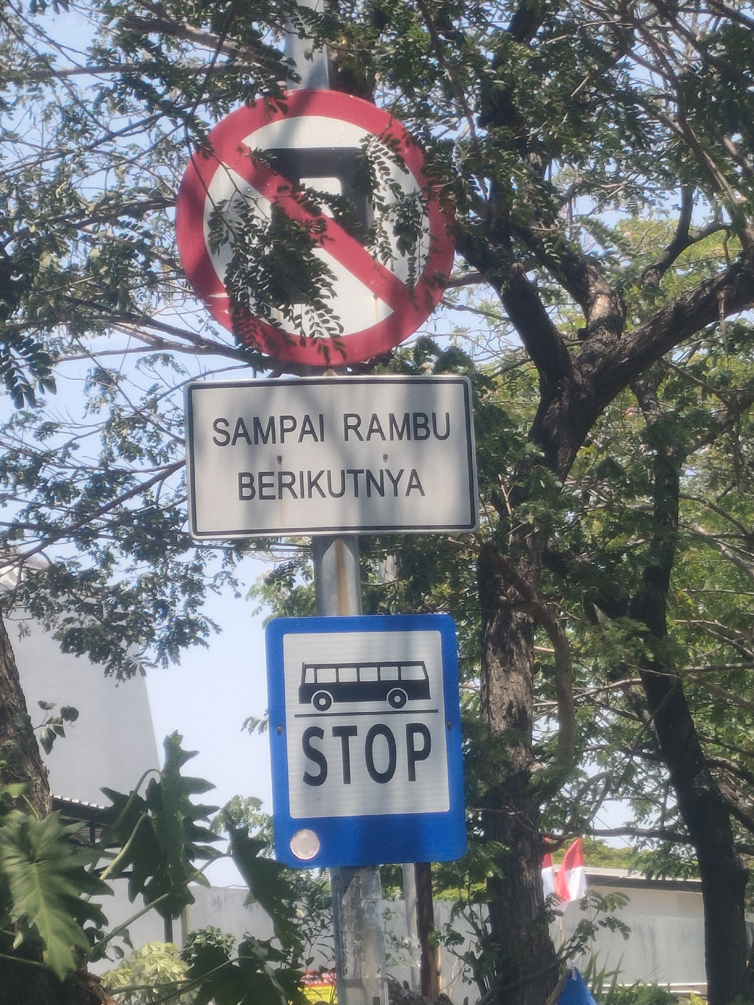 The image captures a series of traffic signs mounted on a metal pole, surrounded by lush green foliage and tree branches. At the top, a circular red and white sign with a diagonal red line signifies a prohibition, likely related to parking or stopping. Below this, a rectangular white sign with black text reads "SAMPAI RAMBU BERIKUTNYA," which translates to "Until the next sign" in Indonesian. Further down, a blue rectangular sign displays a silhouette of a bus above the word "STOP" in large, bold white letters, indicating a bus stop. The background is a bright blue sky, partially obscured by the leaves. A small Indonesian flag, red and white, is visible on a pole in the distance, suggesting a public area or street in Indonesia. The overall scene appears to be outdoors, possibly in a park or along a roadside in Surabaya, Indonesia, given the presence of Indonesian language on the signs and the flag. There are no people visible in the frame. The lighting suggests it is daytime with clear skies.