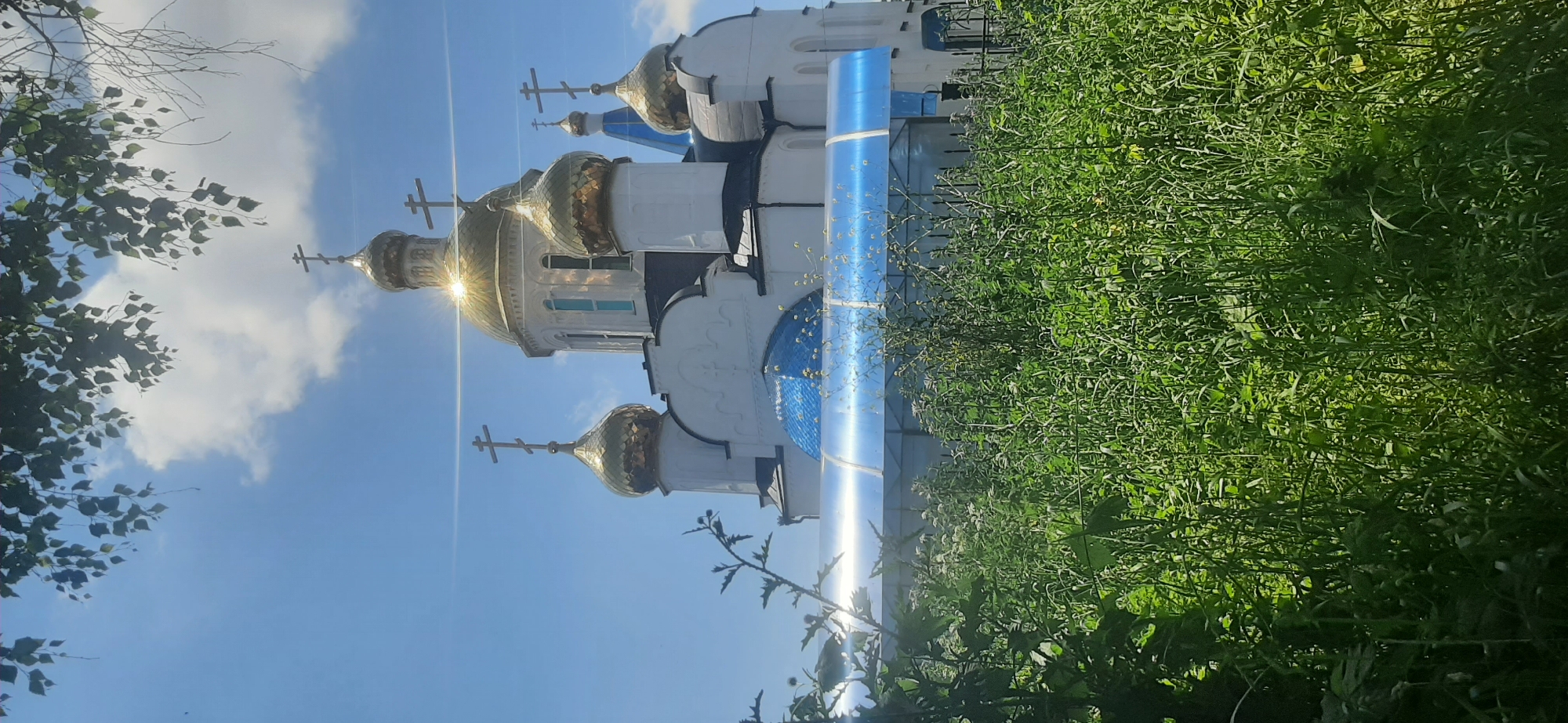 The image shows a white Orthodox church with golden domes against a bright blue sky with scattered white clouds. Green foliage, including tree leaves at the top and tall grass in the foreground, partially obscures the view of the church and a blue, translucent canopy in front of it. The sun is shining brightly, creating lens flare effects across the image. The church has multiple domes, each topped with a cross. The foreground is filled with dense green vegetation. The scene appears to be outdoors on a sunny day, likely in a rural or suburban area given the abundant greenery. The location is Yessentukskaya, Russia.