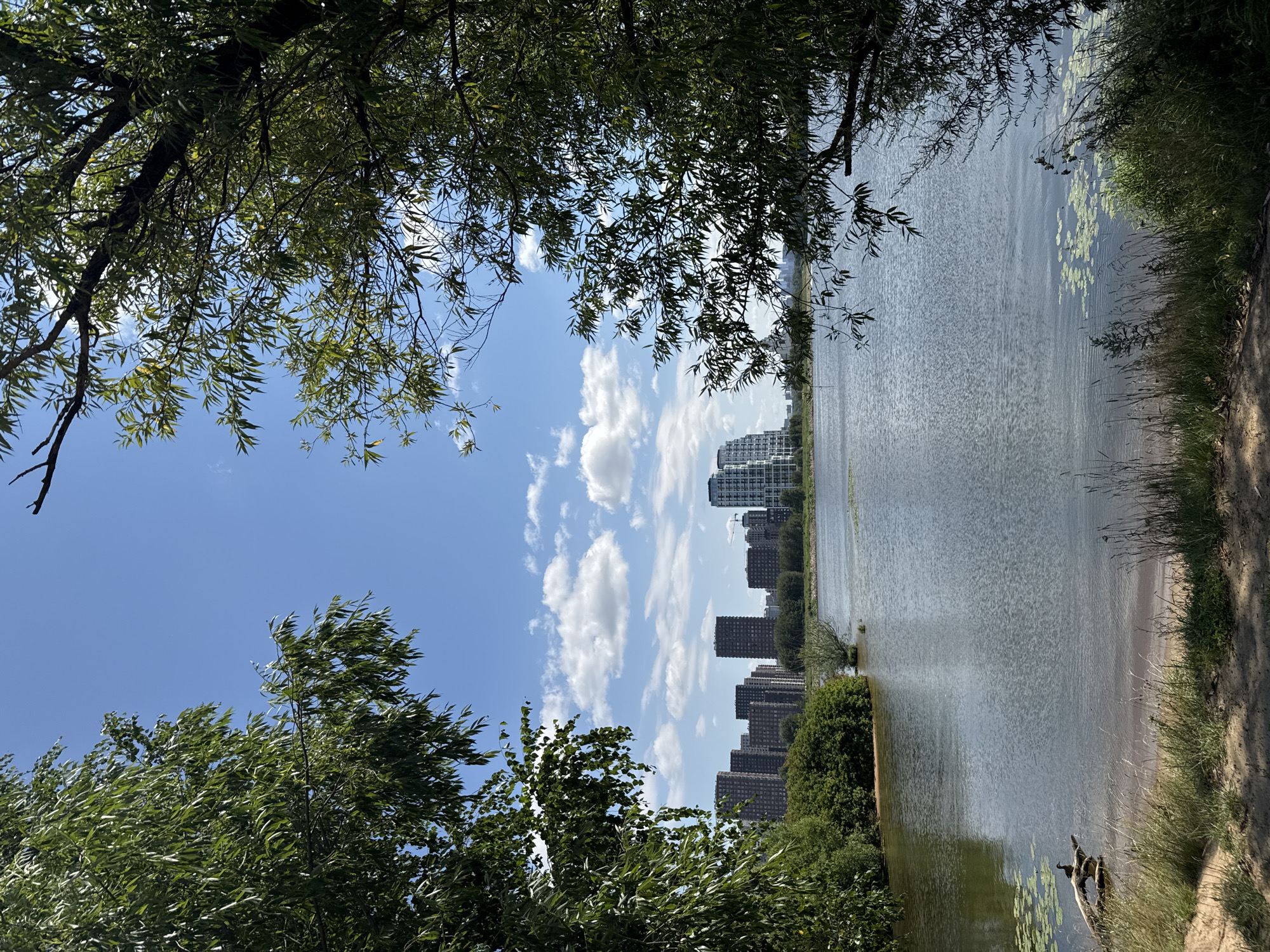 A wide-angle, eye-level shot captures a serene waterscape with a distant city skyline. The foreground is dominated by the lush green foliage of trees framing the scene from the left and right, their leaves creating a natural, organic border. Below the trees, a sandy bank with sparse grass leads down to the water's edge. A weathered log rests partially submerged in the shallow water, with a dark-colored bird perched on it. The water itself is calm, with ripples suggesting a gentle breeze. Lily pads dot the surface in places. Across the water, a green shoreline gives way to a cluster of tall, modern buildings, some dark and imposing, others lighter and sleeker, representing a city's presence against the horizon. The sky above is a vibrant blue, punctuated by fluffy white clouds. The overall impression is one of tranquility, with nature juxtaposed against urban development.