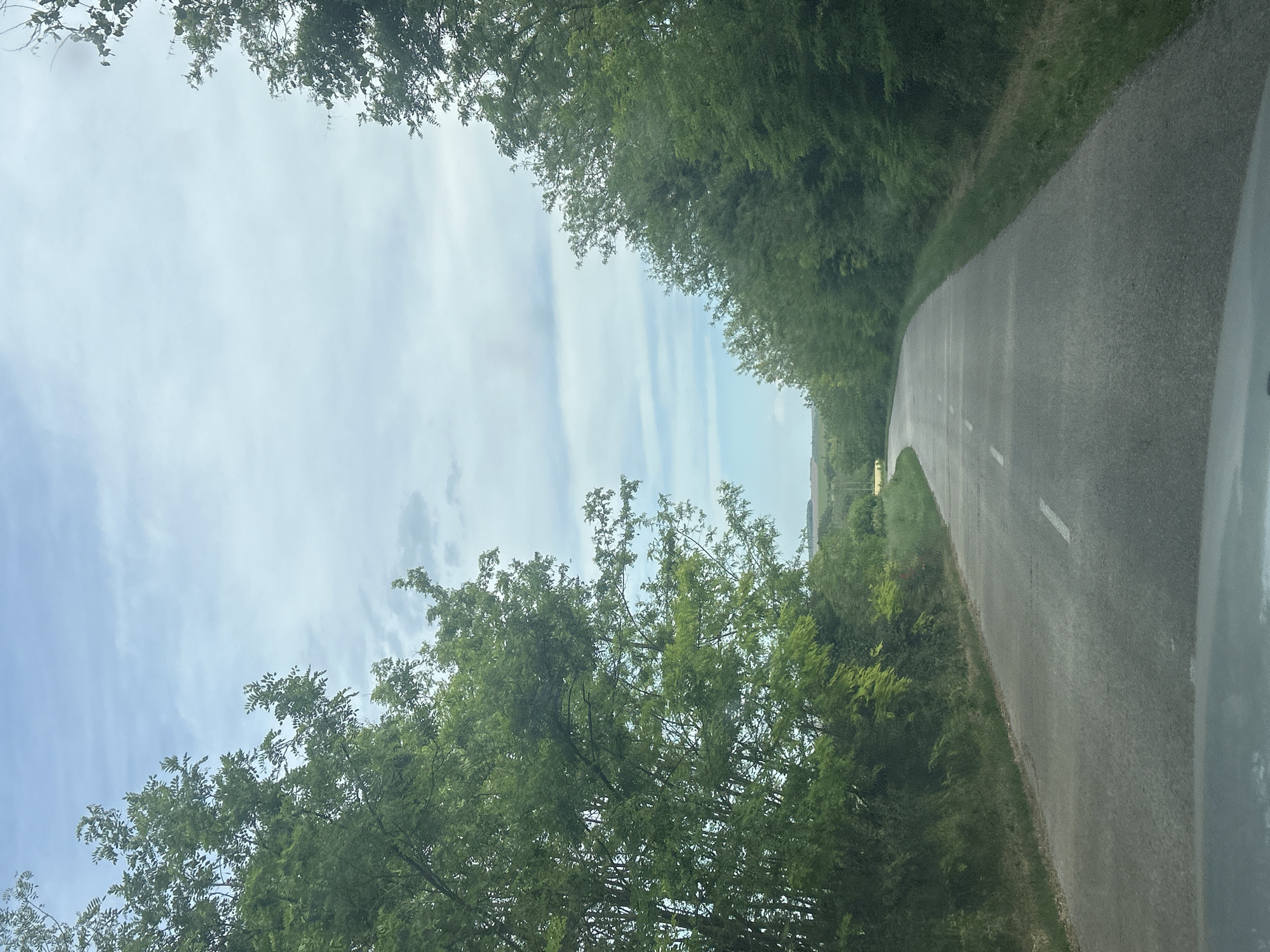 The image shows a road curving through a wooded area. The road is asphalt and has a white painted line marking the center. Trees line both sides of the road, forming a canopy overhead. The sky is visible through gaps in the trees and is light blue with some white clouds. The photo appears to be taken from a moving vehicle, with a portion of the vehicle visible in the bottom right corner. The location is Tabachka, Bulgaria.