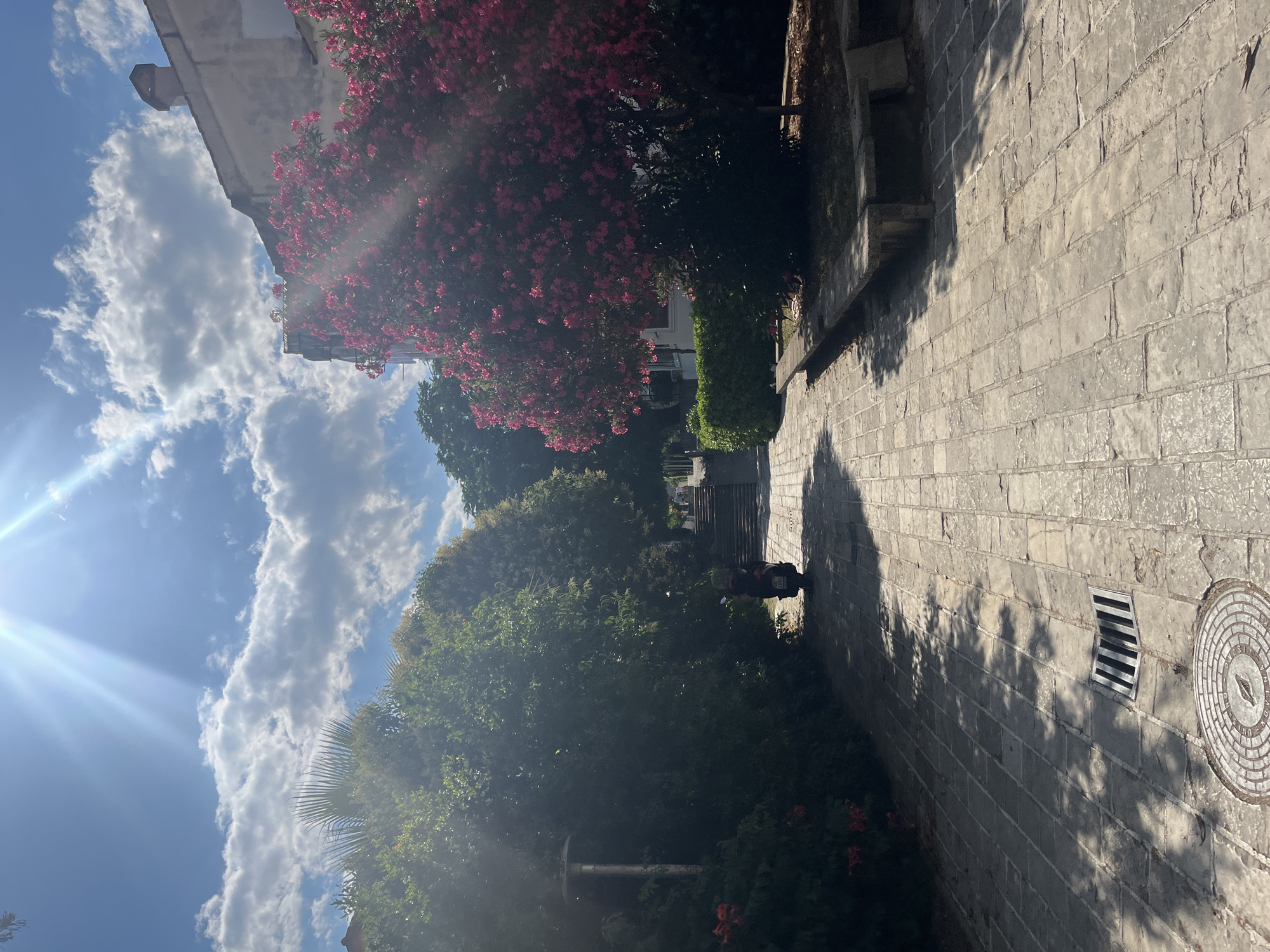 The image depicts a sun-drenched paved walkway in Budva, Montenegro, bordered by lush greenery and a vibrant pink flowering tree. The walkway is constructed of light-colored rectangular stones and leads uphill towards a set of stairs. Sunlight streams down from a bright blue sky dotted with white clouds, casting dappled shadows across the path.
On the left side of the walkway, dense foliage creates a shaded area, with a tall, modern lamppost visible. A dark-colored scooter with a license plate is parked on the left side of the path, partially obscured by shadows and foliage. Further up the path, a few people can be seen walking towards the stairs.
On the right side, a large tree with abundant pink blossoms dominates the scene. Beneath the tree, a low stone bench is situated. The environment suggests a public outdoor space, possibly a park or a residential area within the city. The image captures a moment of bright, sunny weather.