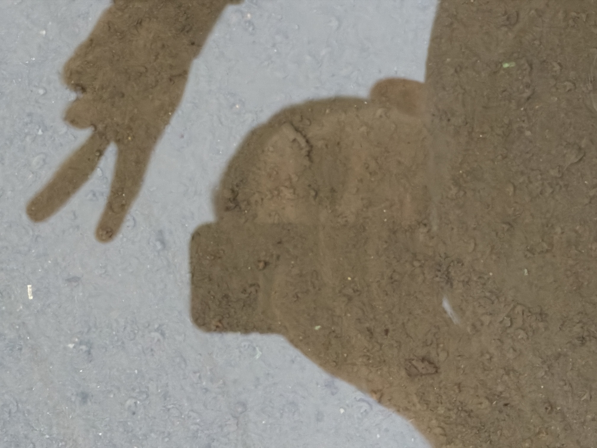 A photograph shows the reflection of a person's head and hand making a peace sign in a puddle. The surrounding surface appears to be concrete. The reflection is muddy and textured, obscuring fine details. The location is unknown.