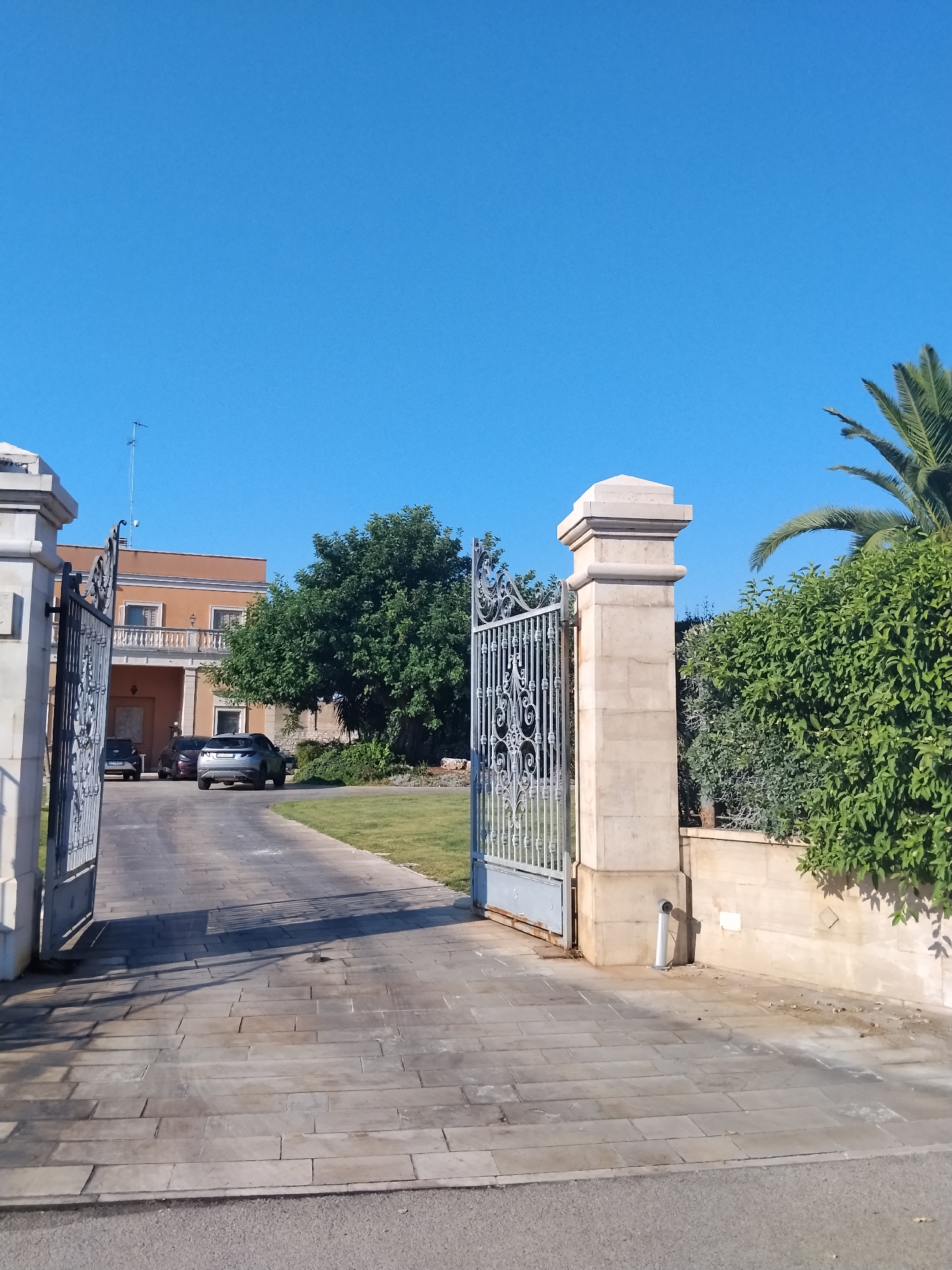 This is a medium-angle, eye-level, exterior shot of a paved driveway leading to a house through an open ornate metal gate. The gate is a light blue-grey color and is adorned with decorative scrollwork. The driveway is made of large, rectangular stone pavers. To the left of the driveway, there is a large white stone pillar topped with a square cap. Further down the driveway, there are three cars parked, two dark-colored sedans and one silver SUV. The house in the background is an orange-colored two-story structure with a balcony on the second floor. A large, lush green tree stands to the right of the house, and to the right of that, a dense green hedge and a palm tree are visible. The sky is a clear, bright blue. The scene appears to be in a suburban or rural setting, likely during daylight hours with bright sunshine casting shadows. Given the architecture, vegetation, and clear blue sky, the location could be a villa or estate in the region of Bari, Italy, known for its coastal landscape and Mediterranean climate.