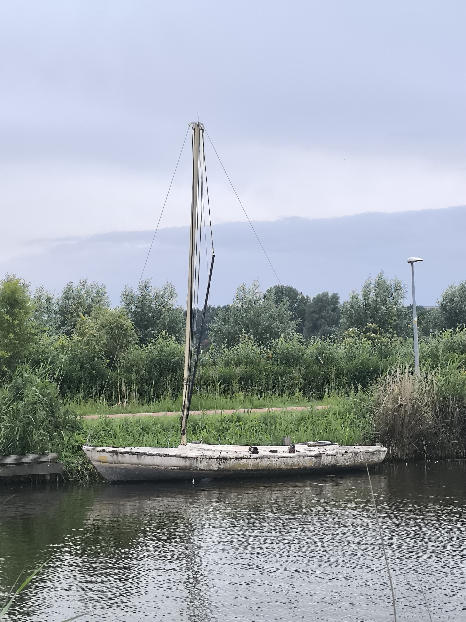 A weathered sailboat, with its mast raised but no sail, rests by a grassy embankment on a cloudy day. The boat, which appears to be made of wood and is in a state of disrepair, is moored to a wooden dock. Two ducks are visible on the deck of the boat. The background is filled with lush green trees and reeds, with a paved path visible behind the vegetation. A lamppost stands to the right of the frame. The scene is set on a body of water, reflecting the overcast sky and surrounding greenery. The image was taken in Alkmaar, Netherlands.