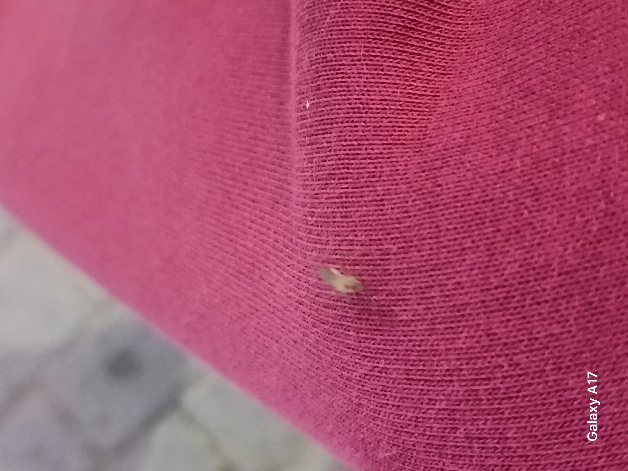 The image shows a close-up view of a maroon or deep pink knit fabric, likely a garment or piece of clothing. There is a small, off-white or yellowish stain or discoloration visible on the fabric's surface. The background appears to be a blurry image of a gray, possibly stone surface. The lower right corner of the image contains the text "Galaxy A17", indicating the camera used to take the photo. It is impossible to determine the location of the image, and whether it is in Yekaterinburg, Russia, without additional context.