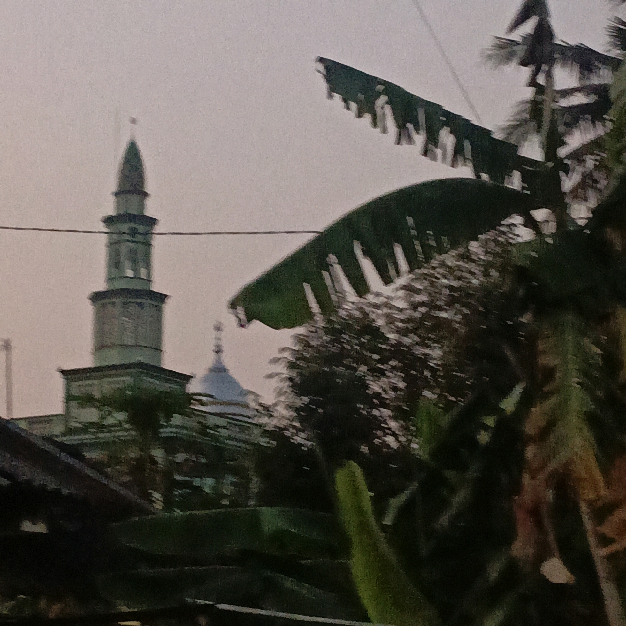 This image depicts a mosque minaret in Salatiga, Indonesia, partially obscured by lush tropical foliage, including banana leaves and palm trees. The sky is overcast, suggesting either dawn or dusk. The minaret itself is tall and slender, with multiple levels and a pointed top, appearing to be constructed of green-tinted stone or painted material. A smaller dome, also part of the mosque complex, is visible to the right of the minaret. In the foreground, the dark, angled roof of a building or structure, possibly a home, is visible, adding a sense of residential presence to the scene. The overall impression is one of a tranquil, somewhat overgrown urban landscape where religious architecture is integrated with nature.
