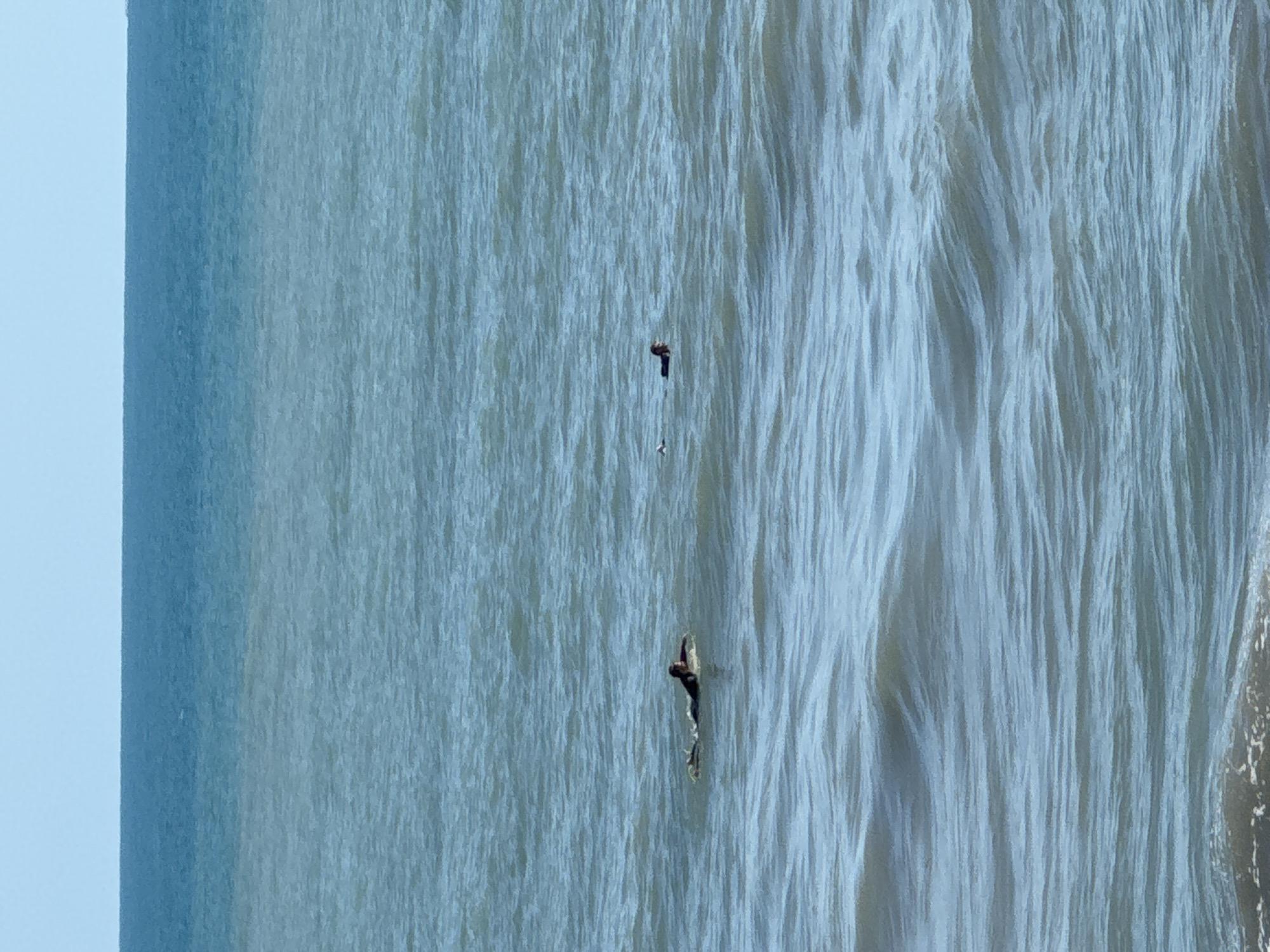 The image depicts a wide shot of the ocean with a clear sky above. The water is a tranquil blue, with gentle waves creating a textured surface. In the middle ground, a lone surfer is lying prone on a surfboard, paddling through the water. Further in the distance, a small, dark object, possibly a buoy or another person, is visible in the water. The horizon is sharply defined, separating the blue expanse of the sea from the lighter blue of the sky. The scene suggests a peaceful day at the beach, likely in Sochi, Russia, given the typical clear skies and calm waters often seen along its Black Sea coast.