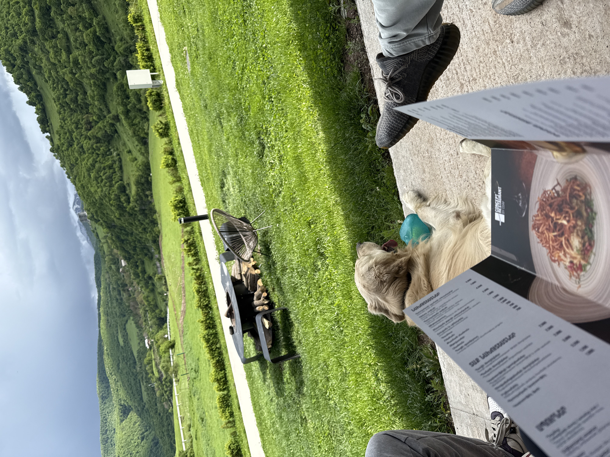 A verdant outdoor scene presents a casual dining setting alongside a grassy expanse. The image is oriented with the left side capturing a panoramic view of a mountainous landscape beneath a cloudy sky.
In the midground, a grill stand with wood sits on the grass next to a concrete ledge. Reclining on the grass near the ledge is a dog with a blue toy.
On the concrete ledge, the presence of human activity is indicated by two individuals; one wears gray sneakers and pants, and the other wears gray sneakers and light gray pants. They are holding menus.
The location is Chkalov, Armenia.