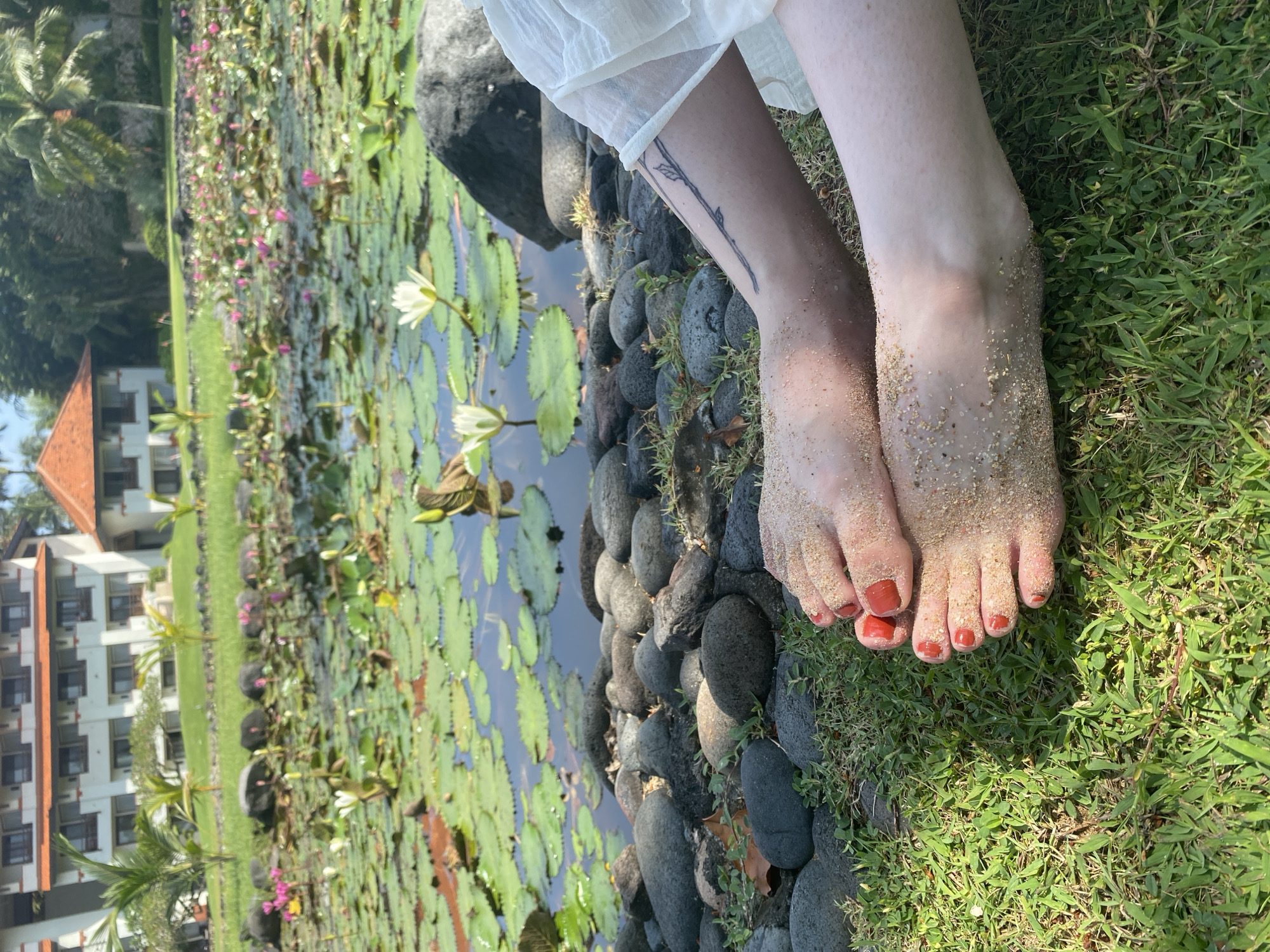 A person's feet with red nail polish are covered in sand and are resting on green grass. The person is wearing a white garment. Next to the feet are dark, smooth stones. In the background, there is a body of water covered in lily pads and lily flowers, both white and pink. Behind the water, there is a building with multiple stories and a red roof. The location is likely Nusa Dua, Indonesia, due to the tropical vegetation, lily pads, and building style.