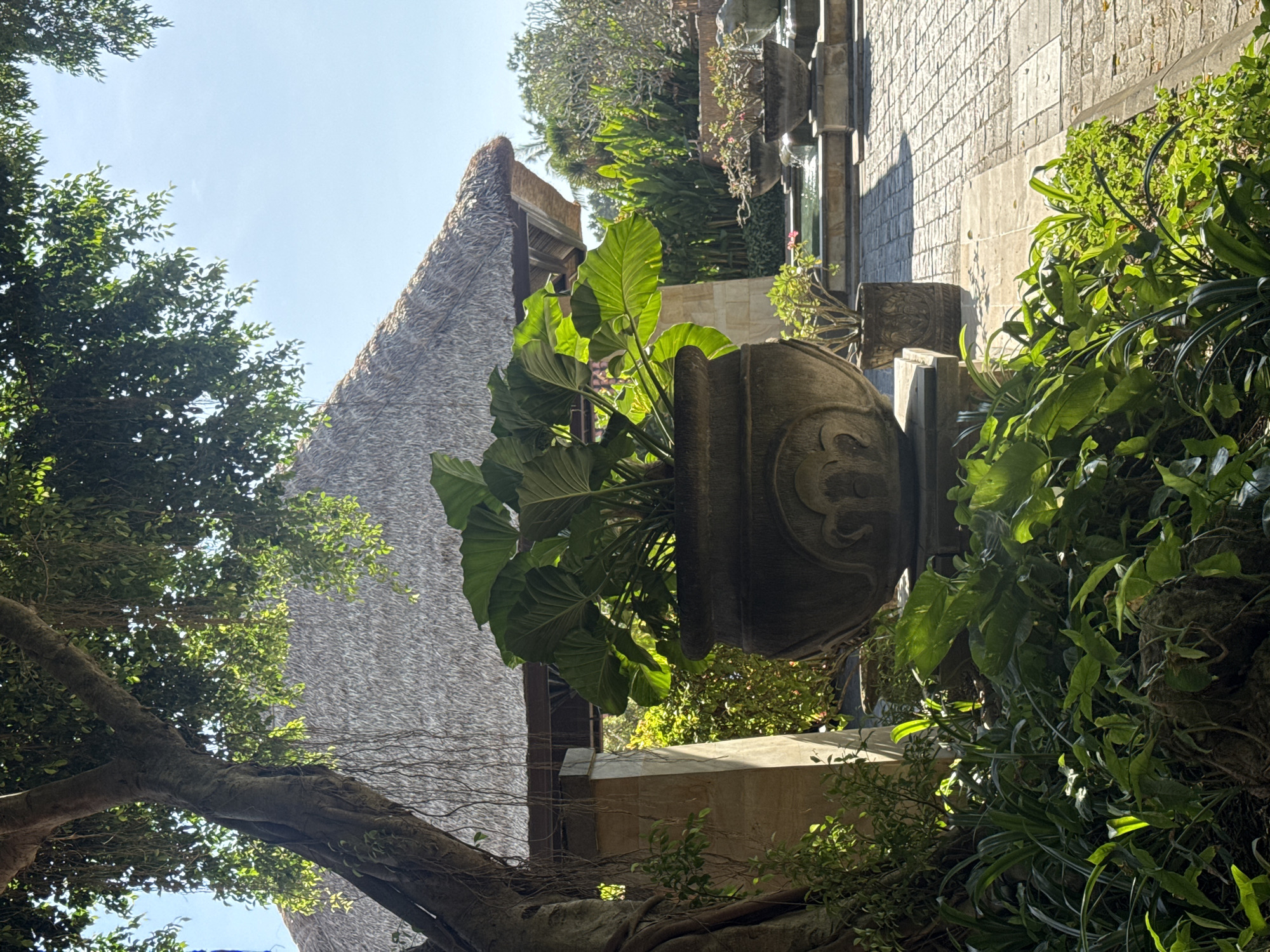 The image depicts an outdoor setting in Kuta Selatan, Indonesia, featuring a blend of natural and architectural elements.
Foreground: A large, intricately carved stone planter is prominently placed, filled with lush green plants that dominate the view. Dense foliage and a tree trunk frame the lower and right sides of the image.
Midground: Behind the planter, a building with a thatched roof rises into the frame, partially obscured by trees. The building's texture is visible.
Background: A stone pathway or wall runs along the upper right side of the image.
Environment: The scene appears to be part of a well-maintained garden or landscape area, with abundant greenery and architectural details. The lighting suggests a sunny day.