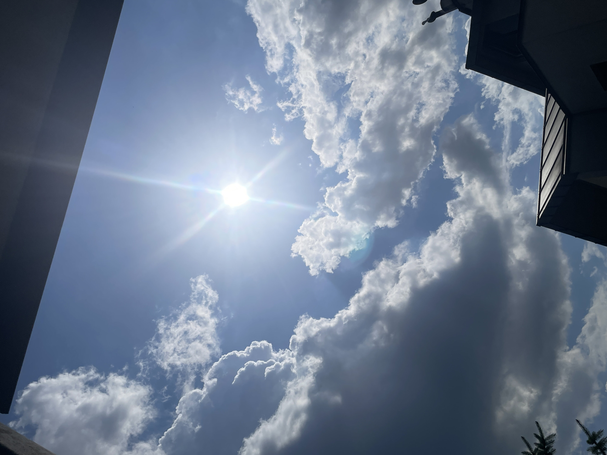 The image captures a sky filled with fluffy white and dark grey clouds, with the sun shining brightly and creating a lens flare. The bottom right of the frame shows the dark silhouettes of two building rooftops, one with a metallic, ribbed surface and another with a slightly angled, darker profile. Above the second rooftop, a small, dark silhouette resembling a statue or gargoyle can be seen. In the bottom left, a portion of a dark green evergreen tree branch is visible. The scene appears to be outdoors, possibly in a city, given the architecture of the rooftops.