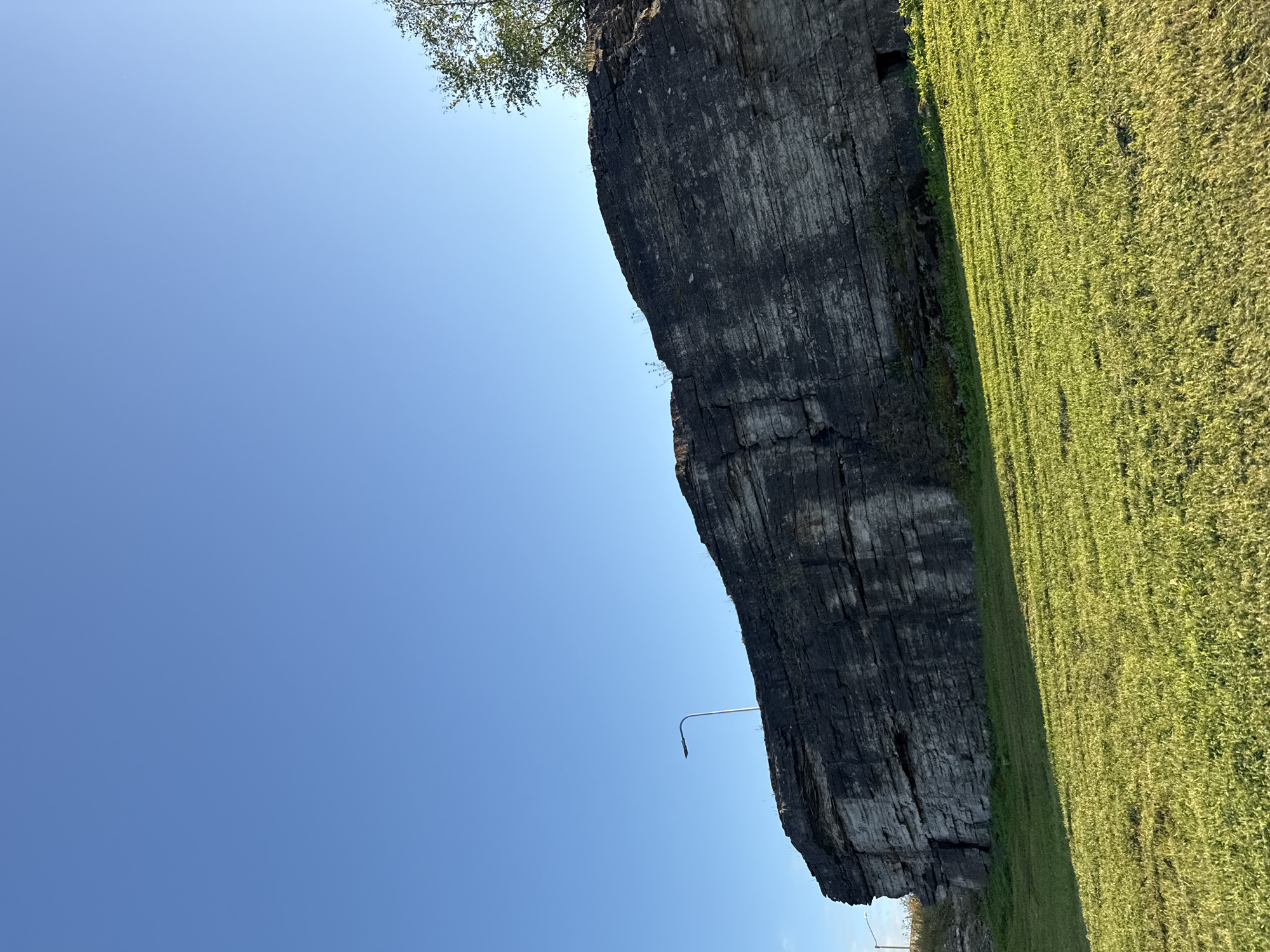 The image shows a rock face and a grassy hill under a clear blue sky. A single street lamp is visible on top of the rock face. The rock face appears to be composed of layered stone, with visible strata. The grassy hill is illuminated by sunlight, creating shadows. A small tree is visible on the right side of the image, on top of the rock face. The scene suggests an outdoor park or natural area. Based on its distinctive appearance and location, this is likely the cliff face at Kalaranna in Tallinn, Estonia, a popular spot for recreational activities and known for its geological features.