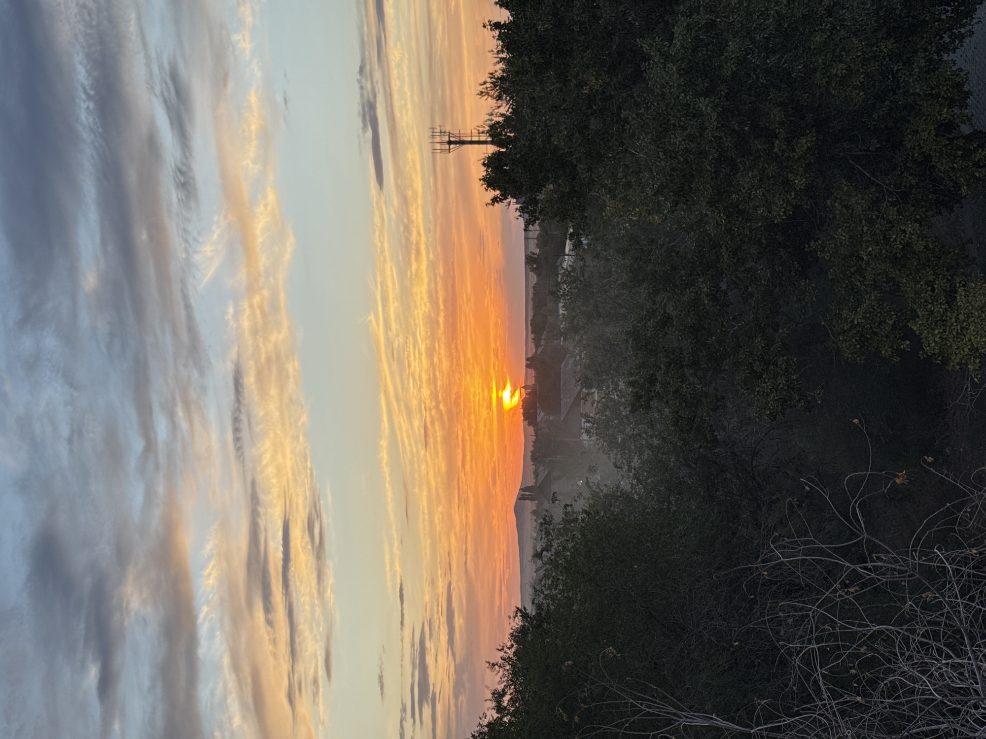 This is a horizontal, eye-level photograph of a sunset over a rural or suburban area. The sky is filled with clouds illuminated by the setting sun, creating a gradient of colors from bright orange and yellow near the horizon to blues and grays higher up. In the foreground, a dense canopy of dark green trees dominates the lower portion of the image, obscuring the ground. Beyond the trees, a few buildings and structures are visible, including what appears to be a cell tower on the right side of the frame. The overall impression is one of a quiet evening in a location that could be the outskirts of Charsk, Kazakhstan, characterized by natural elements and sparse development.