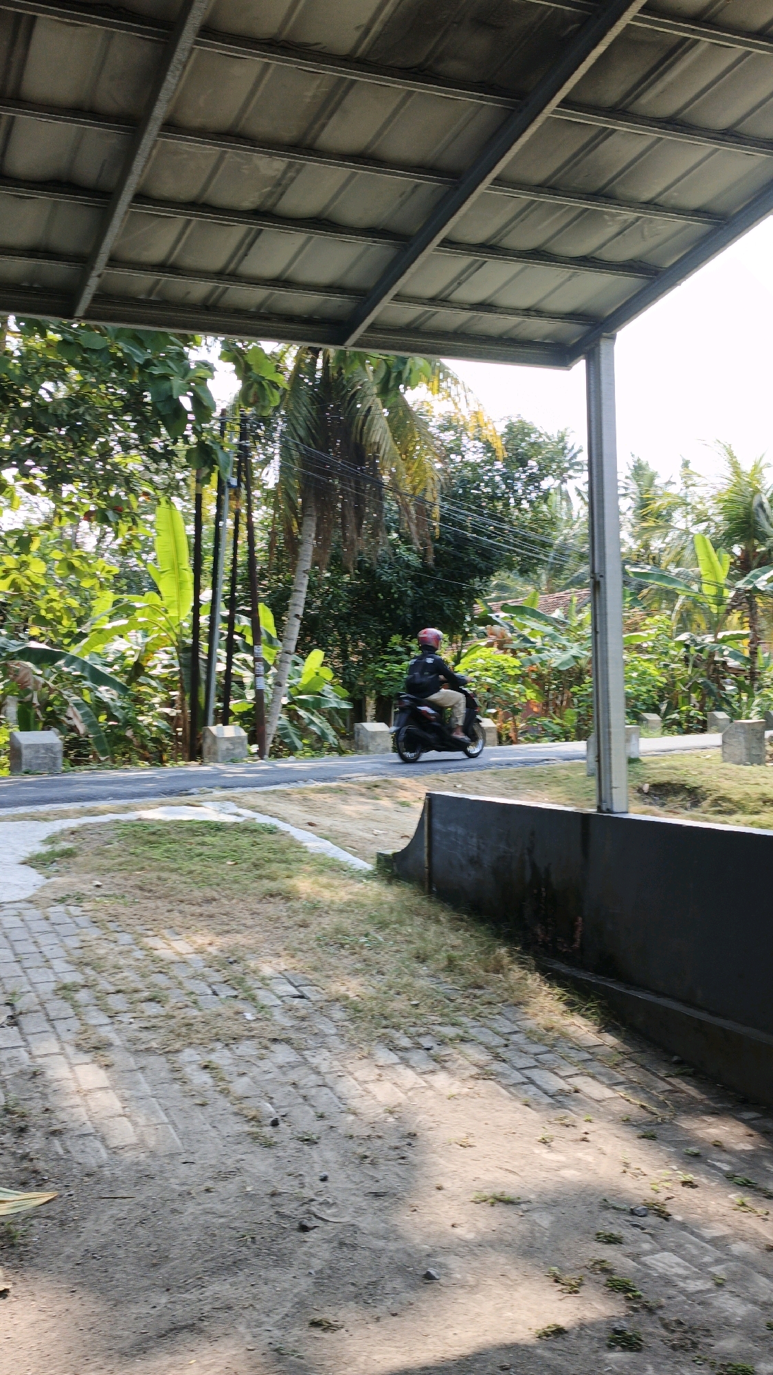 A person wearing a red helmet and a dark jacket is riding a black scooter on a paved road. The road is bordered by lush green vegetation, including banana trees and palm trees, suggesting a tropical or subtropical environment. The scene appears to be outdoors, possibly in a rural or semi-rural area of Cintaratu, Indonesia, with a covered structure overhead, likely a carport or open-sided building. The ground in the foreground is paved with interlocking bricks and patches of dry grass. The lighting indicates it is daytime, with sunlight casting shadows.