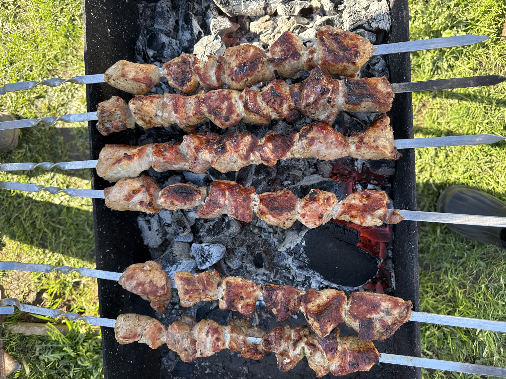 The image depicts five metal skewers laden with grilled meat, likely pork, resting over a charcoal grill. The grilling takes place outdoors. The charcoal is still glowing red beneath the layer of grey ash. The surrounding area appears to be a lawn with grass. The location is Бородулино, Russia.