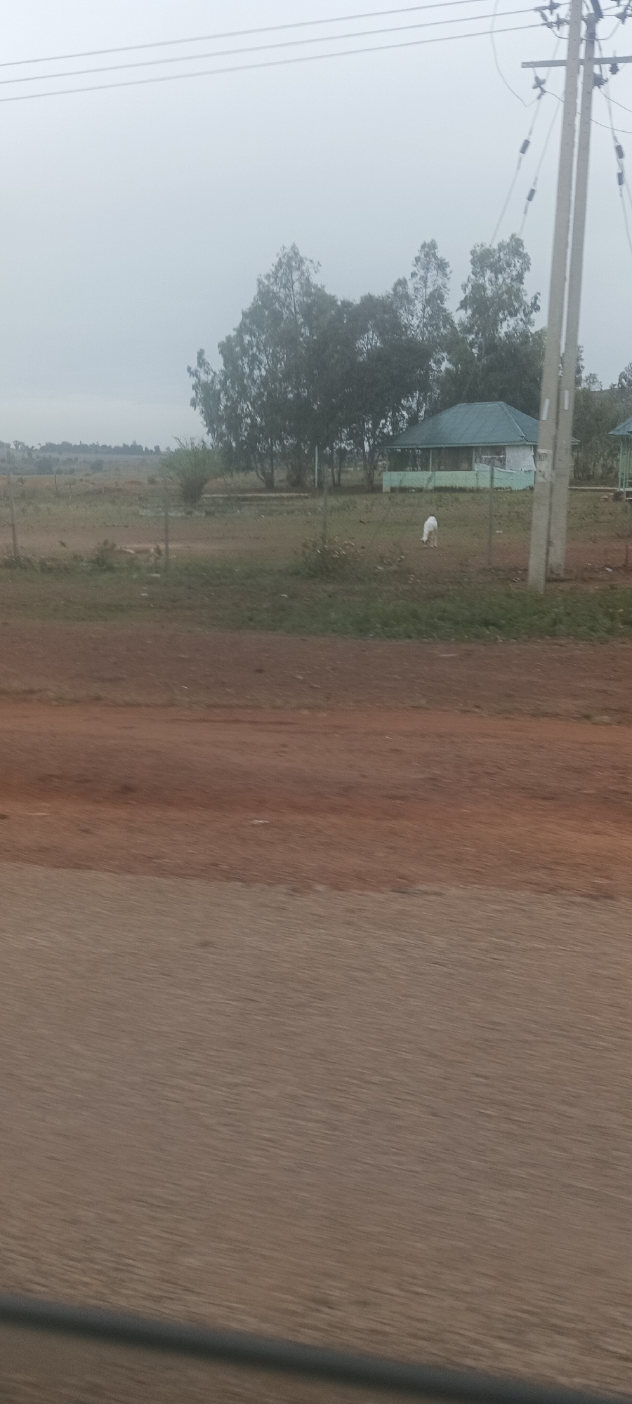 The image depicts an overcast day, likely in a rural area near Ladura Foron, Nigeria. In the mid-ground, a fenced-off field contains a building with a green roof, partially obscured by trees. A white animal, likely a goat or sheep, grazes near the fence. In the foreground, an unclear surface suggests the image was taken from a moving vehicle. Power lines and a utility pole are visible in the upper portion of the frame.