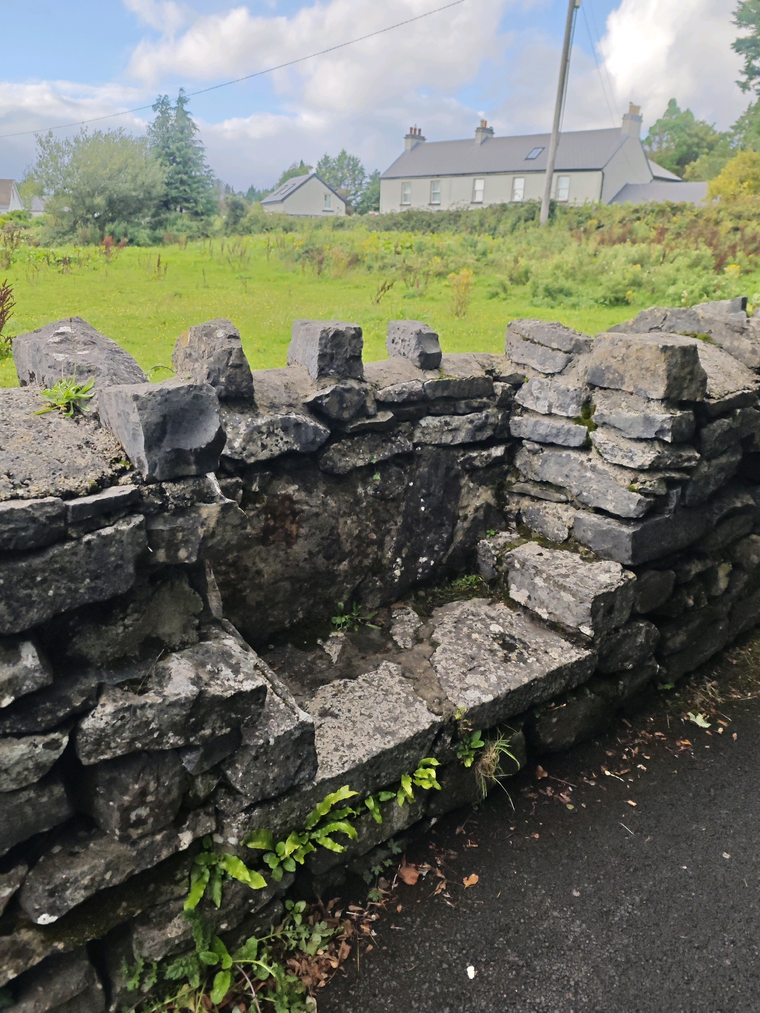 This image depicts a stone trough or well structure, likely a traditional water source, situated by a paved road. The trough is constructed from rough, irregular grey stones and shows signs of age and weathering, with some moss and small plants growing in and around it. The foreground is dominated by the stone structure and the adjacent dark asphalt road. In the background, a lush green field extends towards a row of houses with dark roofs, situated behind a line of trees and bushes. The sky above is partly cloudy with a mix of blue sky and white clouds. The scene appears to be in a rural or semi-rural setting. Based on its appearance, this structure is consistent with historical water features found in areas like Oughterard, Ireland, where such wells or troughs served communal needs before modern plumbing.
