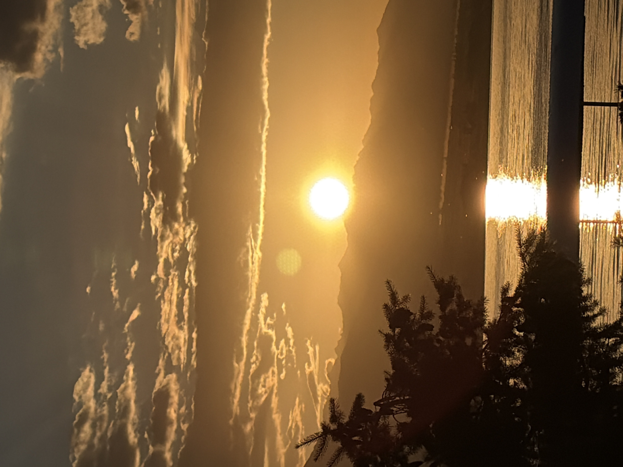 This is a vertical, medium-shot photograph of a sunset over a body of water with a mountainous silhouette in the background. The sun, a bright white orb, is positioned just above the mountain range, casting a golden-orange glow across the sky. Wispy, scattered clouds are illuminated by the setting sun, appearing in shades of yellow and orange against a darkening blue sky. In the foreground, on the left side of the frame, is the dark silhouette of a coniferous tree. The water in the middle ground reflects the golden light of the sunset, creating a shimmering path. In the far background, the faint outline of buildings or structures can be seen along the base of the mountains. The overall mood is serene and atmospheric, characteristic of a peaceful sunset scene. The location is unknown.