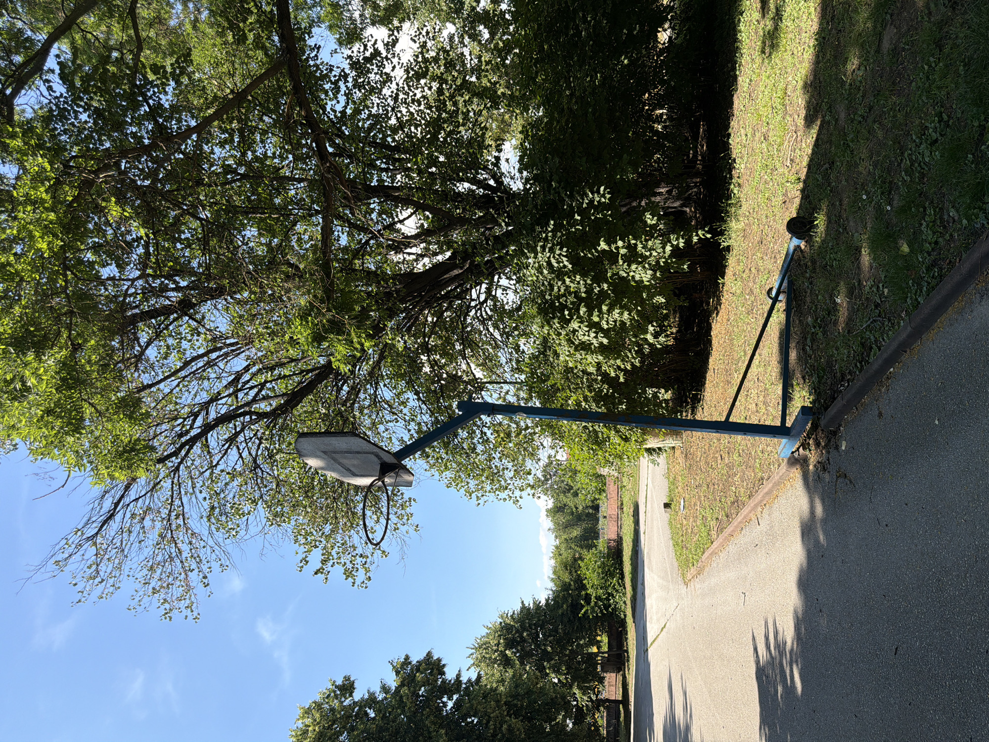 The image depicts an outdoor scene with a damaged basketball hoop. The hoop's backboard is tilted and appears to be detached from its pole, which is also bent. The basketball hoop structure is situated on a grassy area next to an asphalt path or road. Large trees with green foliage are visible in the background, casting shadows on the ground. The sky is clear and blue with a few wispy clouds. The overall impression is one of disrepair or abandonment of the basketball facility. The location is identified as being in the city of Pazardzhik, Bulgaria.