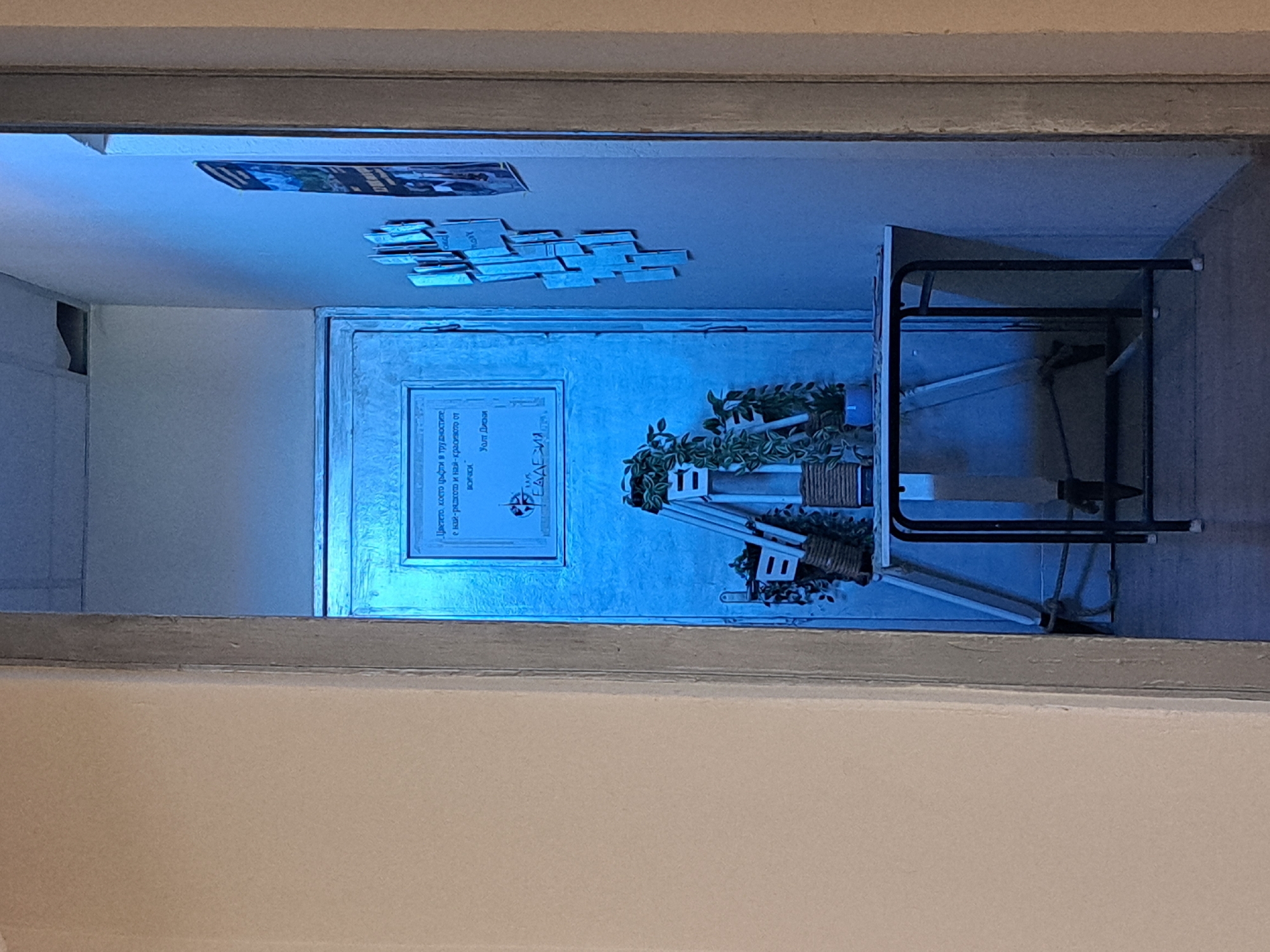 The image, taken from within a room looking out through a doorway, depicts a slightly ajar door in what appears to be an interior setting, possibly an office or classroom. Above the door, several strips of paper are affixed to the ceiling, and a framed poster hangs higher on the wall. The door itself features a rectangular picture or poster, which contains text in Bulgarian ("Цветето, което цъфти в трудностите...") and the name "Уолт Дисни" (Walt Disney). Next to the poster is a depiction of a small house adorned with plants. The picture appears to have a nautical theme. To the right of the door, an object that looks like a drying rack is present. This room is likely located in Sofia, Bulgaria, given the Bulgarian text on the poster.