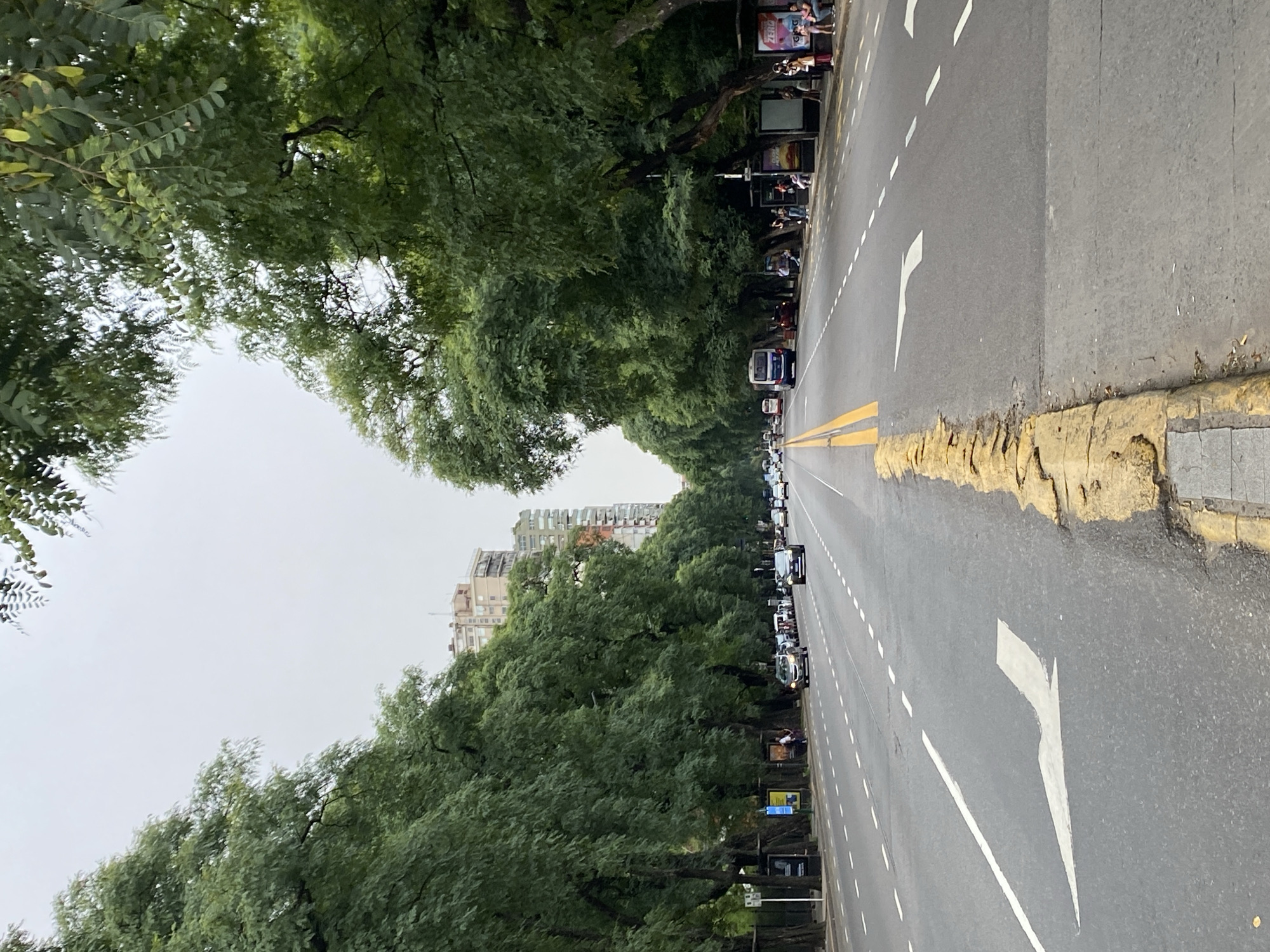 The image shows a long avenue in Buenos Aires, Argentina, lined with tall trees forming a green canopy overhead. The road has multiple lanes, with yellow lines separating directions and white lane markings. A line of parked cars and buses is visible along the right side of the road, adjacent to a sidewalk with bus shelters and people. Buildings are visible in the distance, framed by the trees. The sky is overcast. The perspective is angled, creating a vanishing point effect in the distance. Arrow road markings point toward the left side of the road.