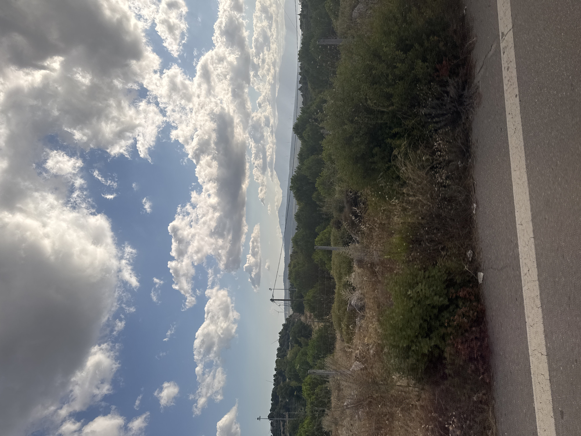 The image depicts a landscape scene in the Municipal Unit of Opountioi, Greece. In the foreground, a paved road with a white line is visible. Beyond the road, there is dry, tall grass and bushes. In the mid-ground, a densely vegetated area with various shades of green foliage stretches across the frame, interrupted by a wire fence with thin posts. Further back, rolling hills are covered with trees and dotted with wind turbines, some of which are clearly visible. In the distance, hazy mountains form the horizon, with a bright sky filled with scattered white and grey clouds above. The overall impression is of a rural or semi-rural area with natural and man-made elements. There are no people or animals present in the image.