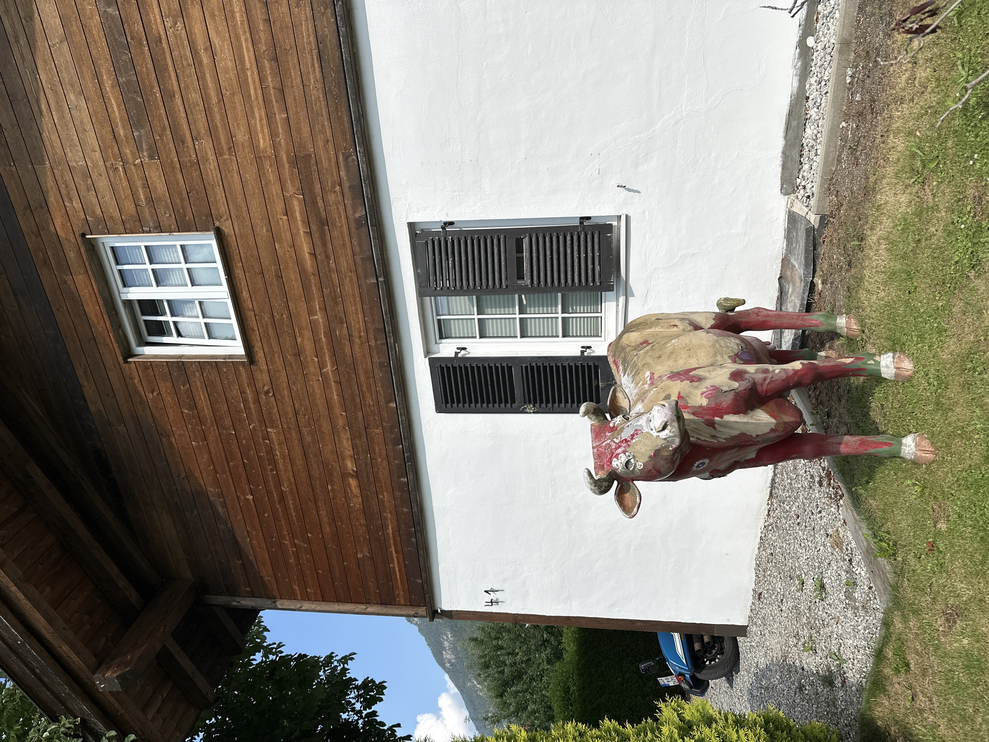 A life-sized, painted statue of a cow stands on a patch of grass in front of a two-story building in Farchant, Germany. The cow is predominantly tan with red splotches and green accents on its legs, and its eyes are depicted as blue. The building has a dark wooden upper story with horizontal siding and a white stucco lower story. Two windows are visible: one on the upper wooden story with a white frame and grid pattern, and another on the lower white story with black shutters and a white frame. The number "41" is painted in black on the white stucco wall. To the left of the building, a portion of a blue motorcycle is parked on a gravel area. Lush green foliage, including a tall evergreen on the left and trees in the background, surrounds the scene. A mountainous landscape is visible behind the trees. The sky is clear and blue.