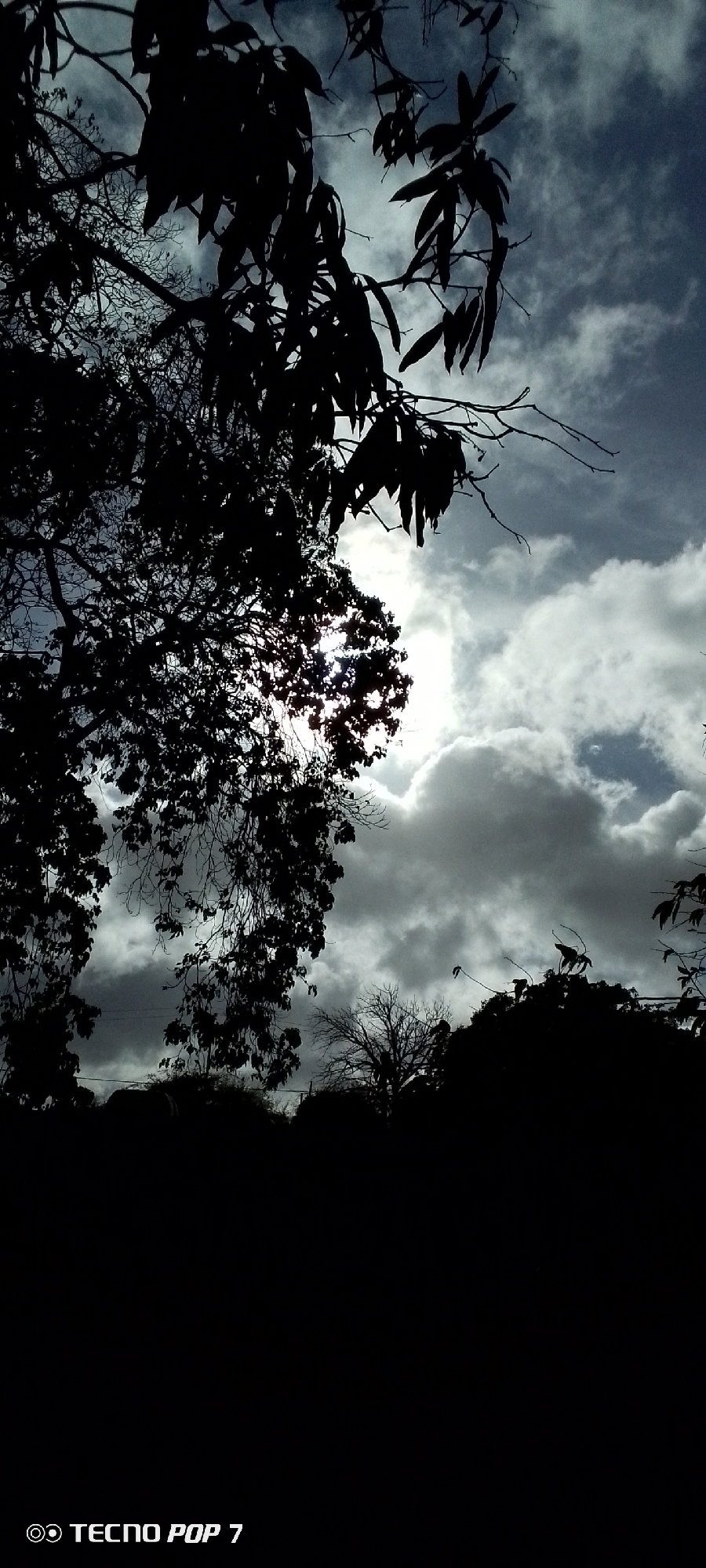 The image presents a landscape in Altagracia, Venezuela, dominated by silhouettes of trees against a cloudy sky. The foreground is an indiscernible dark mass, likely representing the ground or closer vegetation. The middle ground contains outlines of trees of varying sizes and shapes, some appearing bare and others with dense foliage. Sunlight filters through the leaves, creating a stark contrast. The background is a partly cloudy sky with patches of blue visible between the grey and white cloud formations. At the bottom of the image, there is a "TECNO POP 7" watermark, likely indicating the device used to capture the image.