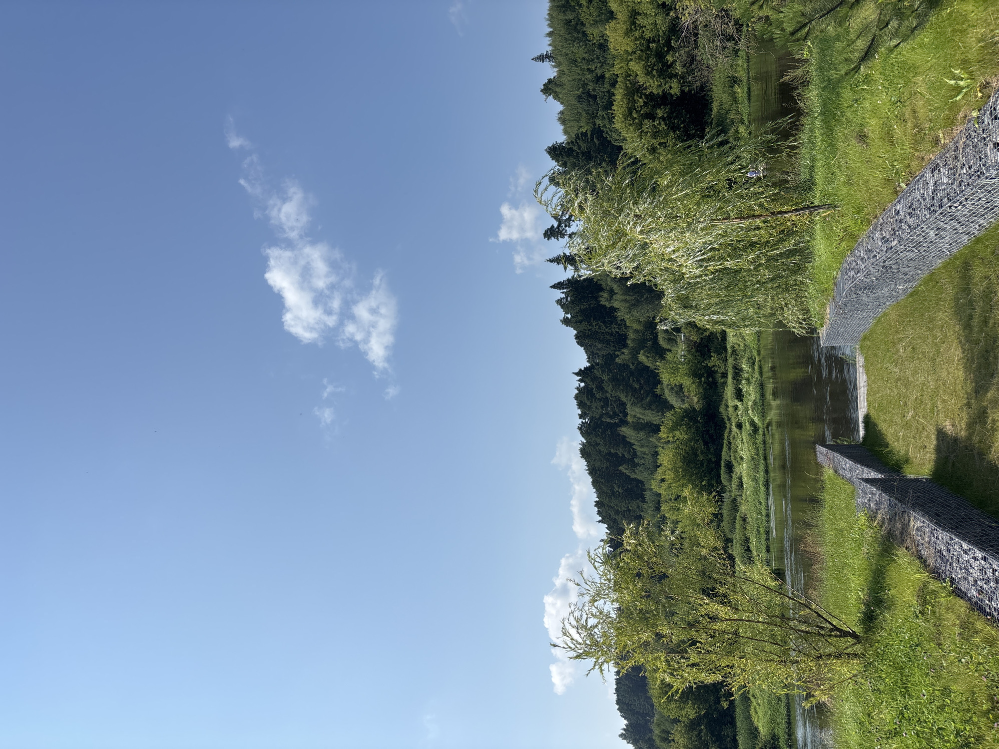 The image depicts a serene natural landscape with a river and lush greenery, located in Zvenigorod, Russia. In the foreground, a pathway constructed of gabion walls leads down to the water. Two young trees, one on each side of the path, flank the entrance to the river. The river itself is calm, reflecting the clear blue sky above, which is dotted with a few wispy white clouds. The background features a dense forest of various trees, creating a verdant backdrop against the sky. The overall scene conveys a sense of tranquility and natural beauty.