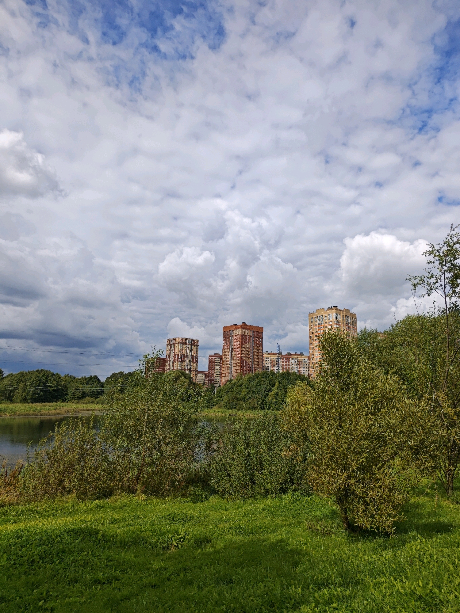 The image depicts a scenic view of apartment buildings on the horizon, partially obscured by lush green trees and foliage in the foreground. A body of water, possibly a river or lake, is visible to the left, reflecting the cloudy blue sky. The apartment buildings, characterized by their reddish-brown and beige facades, stand tall against the dramatic cloud formations. The scene is set in the city of Shcherbinka, Russia, showcasing a blend of urban development and natural elements. The ground in the foreground is covered with vibrant green grass, with shadows cast by the trees, suggesting it's a sunny day despite the clouds. No people are visible in the image.
