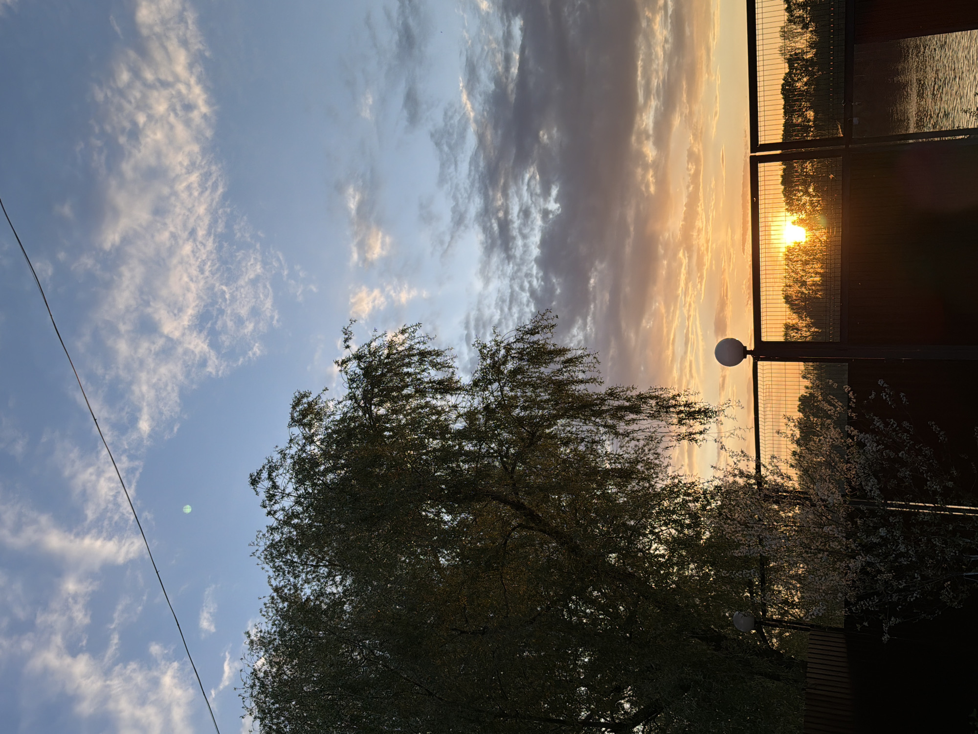 The image shows a sunset view, possibly in Chaikovsky, Russia, given the prompt. The sky is a mix of blue and orange hues, with clouds scattered throughout. A tree with dense foliage is visible in the foreground, casting shadows on the scene. To the right, a fence borders what appears to be a body of water, with the sun setting behind it. A lamppost stands near the fence. A thin powerline cuts through the lower left sky. Some flowering trees are also visible.