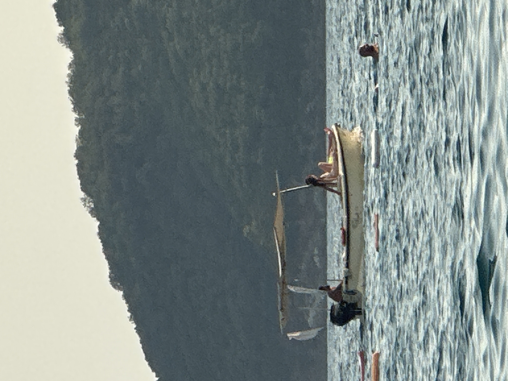In the sea off the coast of Boreti, Montenegro, a small, light-colored motorboat with a shaded canopy is observed. A person is seated at the stern of the boat, facing away from the camera. In the middle of the boat, a second person is reclining, wearing a yellow bikini. Several orange buoys are scattered in the water around the boat. To the right of the boat, a person's head and shoulders are visible above the water, appearing to swim. The background is dominated by a dark, tree-covered hillside and a pale sky. The water is choppy with visible ripples.