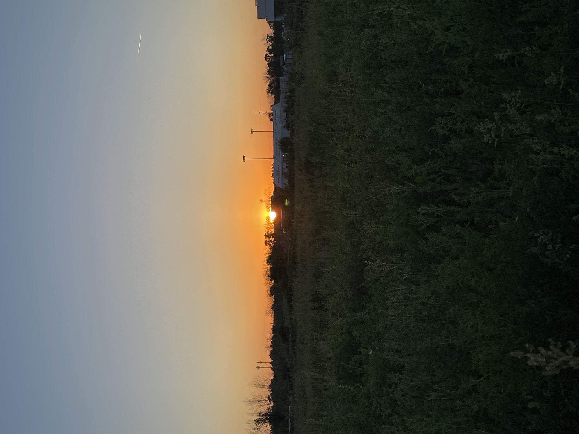 The image depicts a sunset in Saratov, Russia. The sun is setting on the horizon, casting an orange glow in the sky. There is a field of green grass on the right side of the image, while the sky on the left transitions from blue to orange. There is also a faint contrail from an airplane in the top left corner. There are street lamps and a building on the horizon.