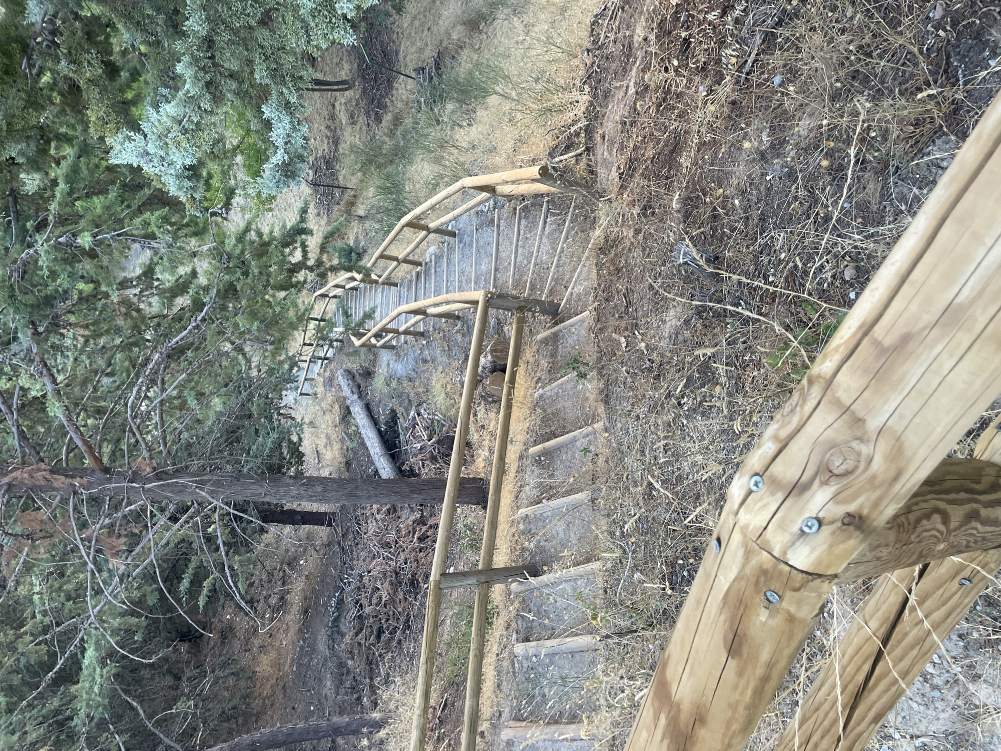 The image shows a concrete staircase with wooden railings descending a hillside. The staircase is surrounded by dry grass, brush, and trees. The wood of the railings appears weathered and is secured with screws. In the background, more trees and a slightly more overgrown hillside are visible. The setting suggests an outdoor, natural environment, likely a park or hiking trail. The location in Víznar, Spain is not visually indicated within the image itself.