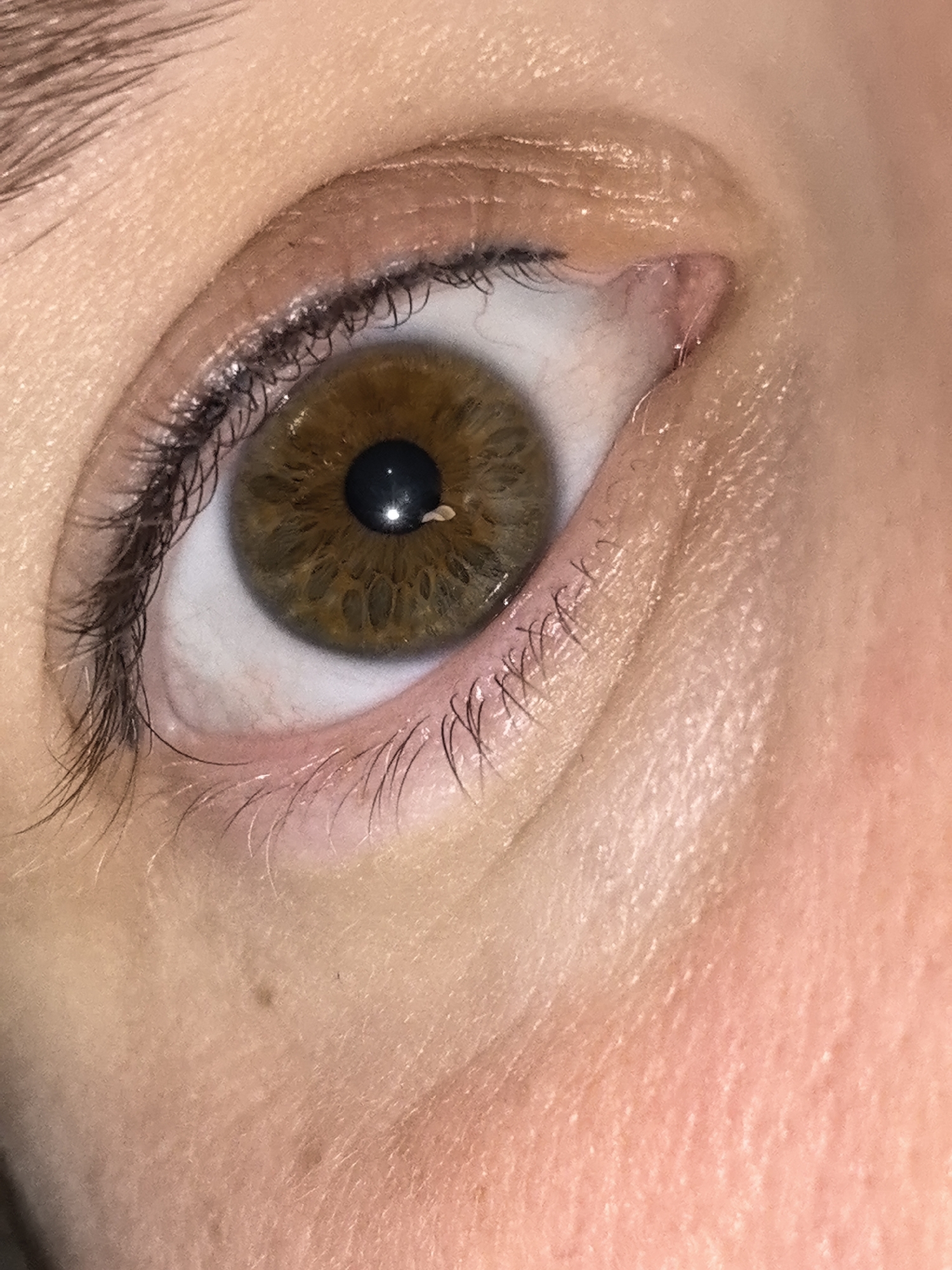 This is a close-up, macro photograph of a human eye. The iris is a warm, light brown color with darker brown flecks and a distinct radial pattern. The pupil is black and appears dilated. A small, whitish foreign object, possibly a piece of lint or a tiny eyelash, is visible on the surface of the iris, slightly to the right of the pupil. The sclera, or the white part of the eye, is visible and appears healthy. Eyelashes are present on the upper and lower eyelids, some appearing to have mascara. The surrounding skin of the eyelid and cheek is visible, showing texture and pore detail. The lighting appears to be direct, causing some glare on the surface of the eye. There is no information or visual evidence within the image to suggest the location in the city of Фролы, Russia.