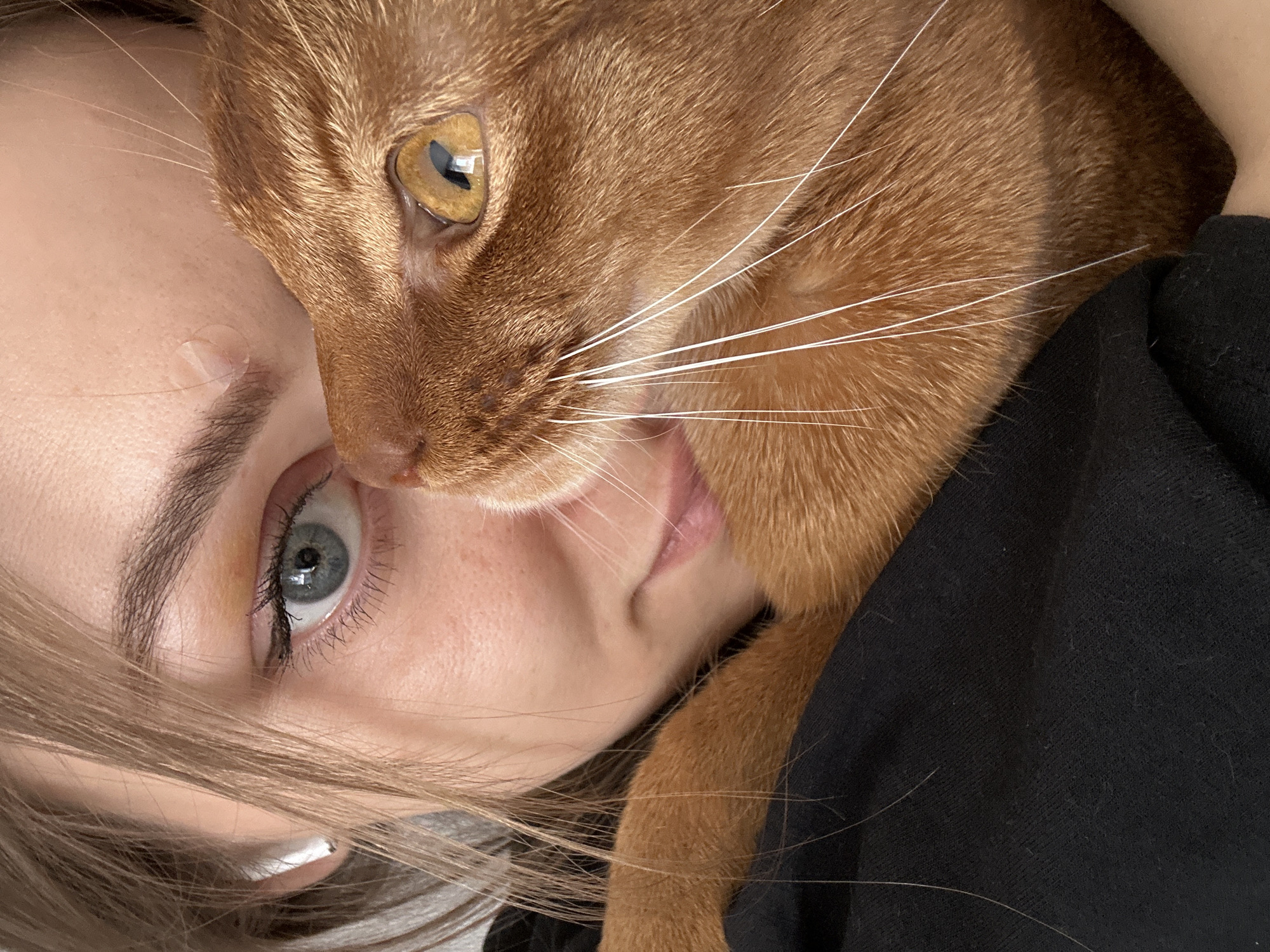 A close-up, angled shot shows a woman and a reddish-brown cat in an intimate pose. The woman is lying down, facing the camera with a slight tilt. Her eye, blue-gray in color, is open and gazing towards the camera. Her fair skin is visible, with some blonde hair falling across her face. Above her eye is a clear adhesive bandage.
The cat is positioned above her, with its head nestled close to her face. The cat's right eye, a golden color, is visible. Its white whiskers are prominent against its fur. A paw rests against the woman's black shirt.
The background is blurred and indistinct, consisting of the black shirt and a hint of a white surface.
The location is not discernible from the image. There is no way to determine if the location of this image is Kazan, Russia.