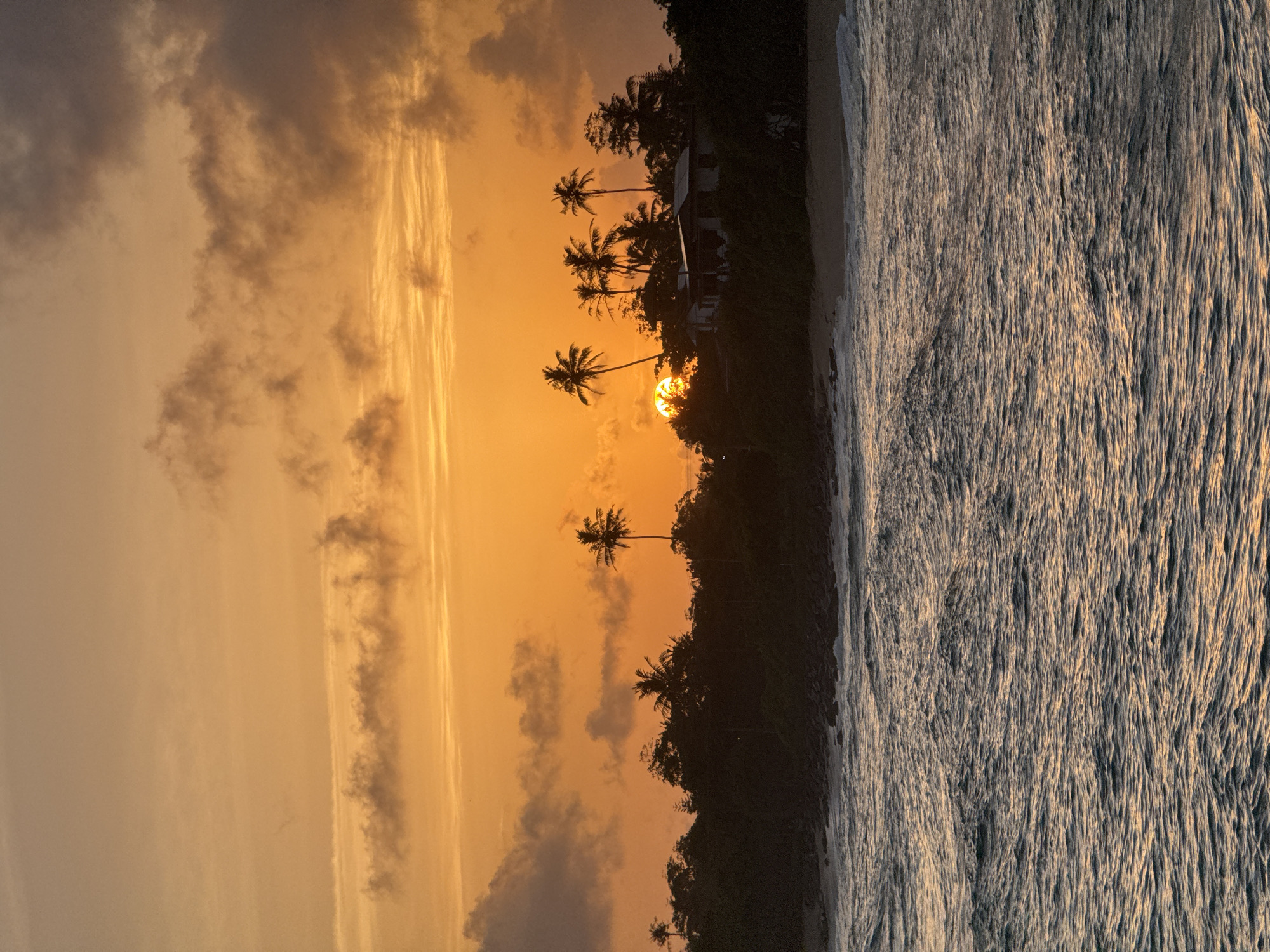 The image captures a serene sunset scene at a beach in Midigama, Sri Lanka. The sun, a glowing orb of warm light, is partially obscured by the silhouette of palm trees and lush vegetation, casting a golden-orange hue across the sky and clouds. The sky is painted with strokes of yellow and orange, with some scattered dark clouds adding depth and texture.
The foreground is dominated by the ocean, with gentle waves lapping at the shore. The water's surface reflects the warm light of the setting sun, creating a shimmering effect. A sandy beach is visible between the ocean and the treeline. Silhouetted against the vibrant sky are several palm trees, their fronds reaching upwards. Behind the trees, a glimpse of a building can be seen, suggesting a dwelling or accommodation.
The scene evokes a sense of tranquility and natural beauty. The time of day is clearly sunset, indicated by the low-hanging sun and the warm colors in the sky. The weather appears calm, with clear skies for the most part, save for a few clouds. The location cues, such as the palm trees and the tropical coastline, point to a beach setting. The overall mood is peaceful and relaxing, characteristic of a tropical sunset. There is no visible text in the image.
