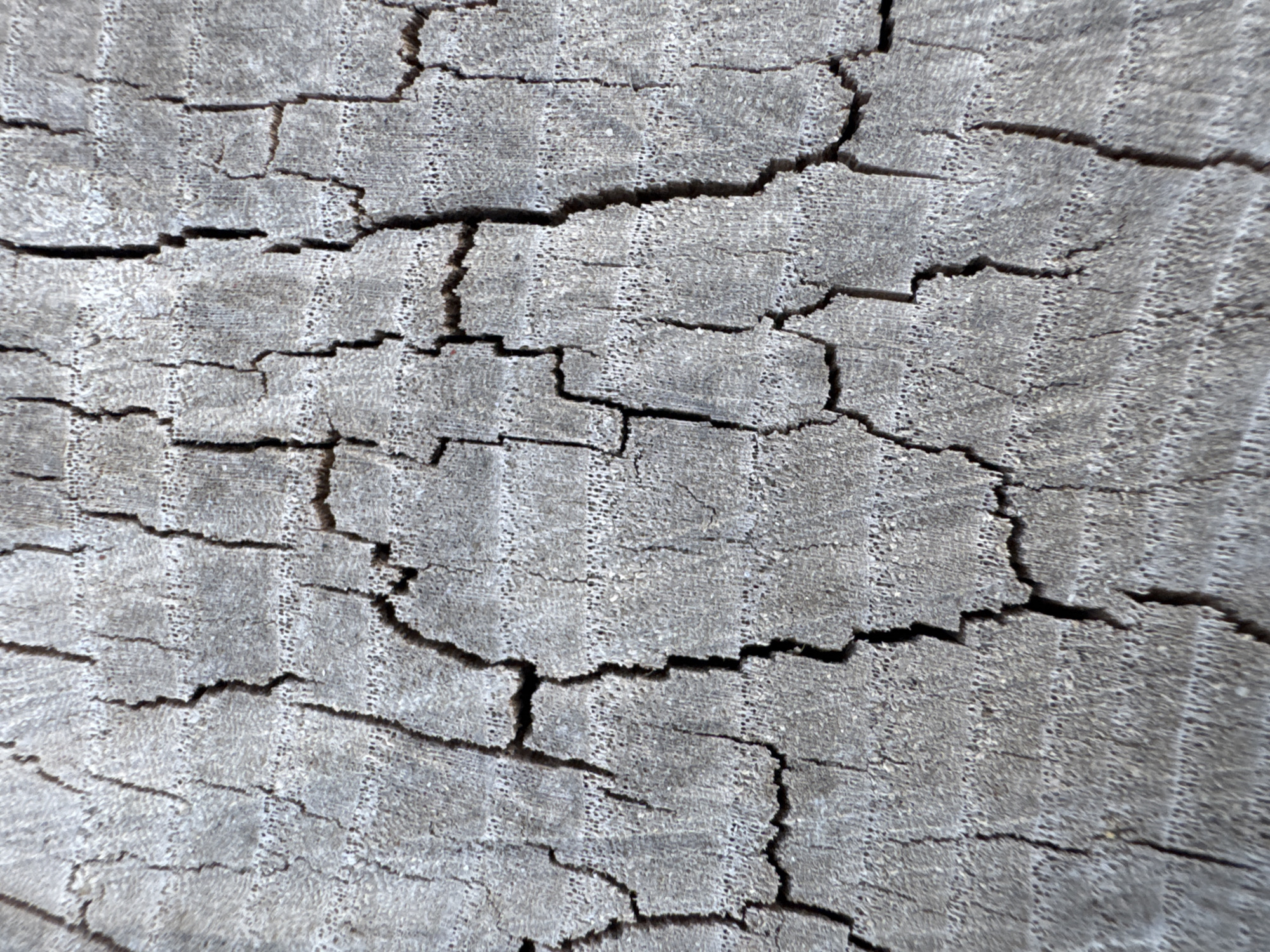 The image displays a close-up, high-angle view of a weathered, gray wooden surface. The wood exhibits prominent cracks that create a network of irregular shapes across the grain. Faint, parallel lines run horizontally, suggesting growth rings or some other textural element of the wood. The texture is rough and aged. There are no people or any other identifiable objects present in the frame. The setting is an outdoor environment, likely in the city of Strășeni, Moldova, based on the prompt's information, but the specific location within the city cannot be determined from the image alone.