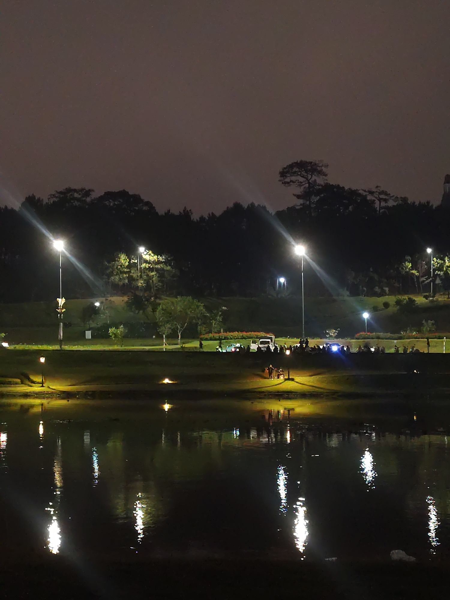 The image depicts a nighttime scene at Xuan Huong Lake in Da Lat, Vietnam. The lake's dark water reflects the lights from the surrounding area, which include tall streetlights and smaller ground-level lights along the shore. On the grassy bank beyond the water, a gathering of people is visible, some standing near vehicles. A line of trees forms the backdrop, silhouetted against the night sky.